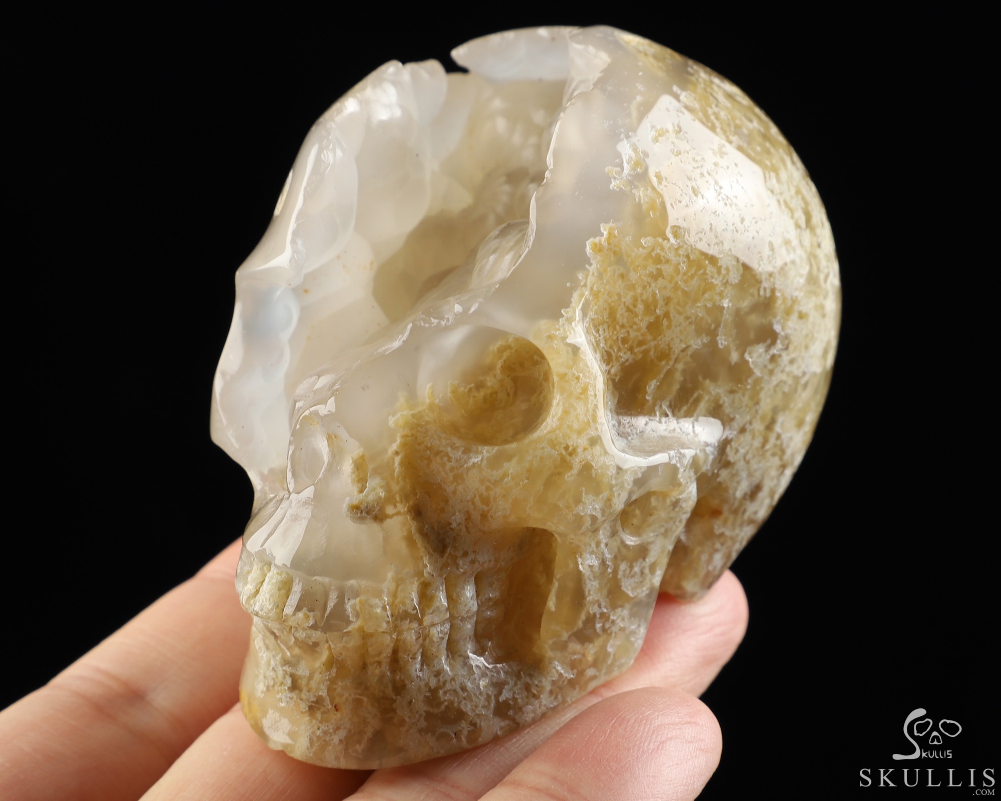 3.1" Green Moss Agate Geode Hand Carved Crystal Skull, Realistic, Crystal Healing 3.1" Green Moss Agate Geode Hand Carved Crystal Skull, Realistic, Crystal Healing