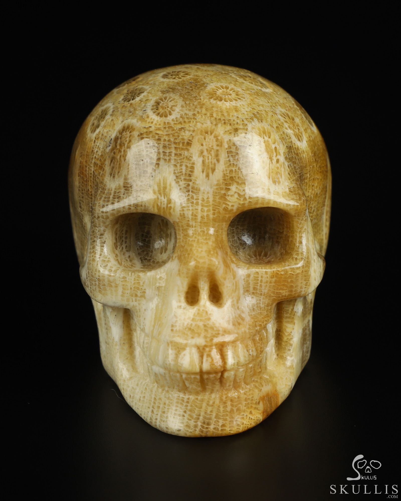 2.0" Coral Fossil Hand Carved Crystal Skull, Realistic, Crystal Healing 2.0" Coral Fossil Hand Carved Crystal Skull, Realistic, Crystal Healing
