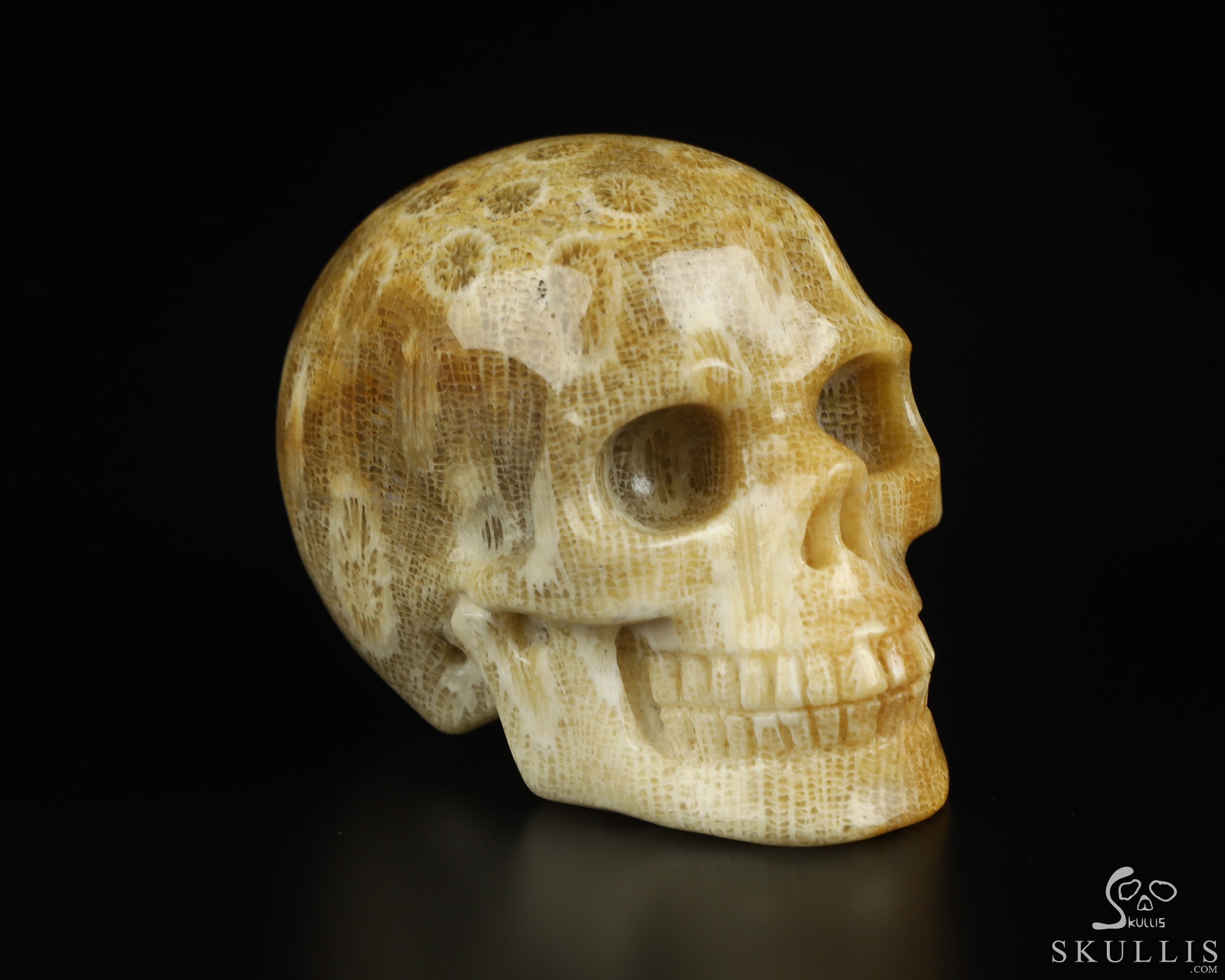 2.0" Coral Fossil Hand Carved Crystal Skull, Realistic, Crystal Healing 2.0" Coral Fossil Hand Carved Crystal Skull, Realistic, Crystal Healing