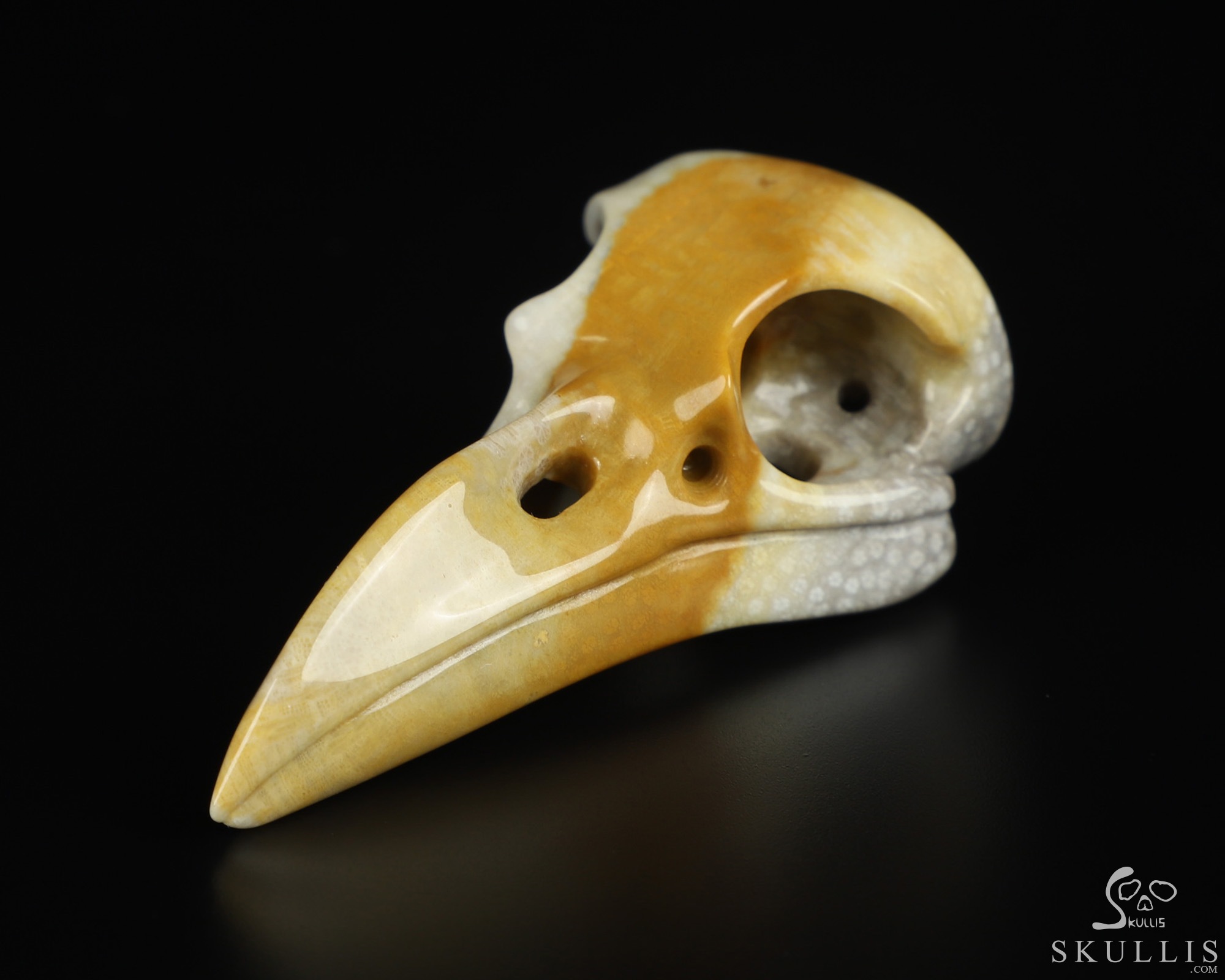 Necklace of 2.3" Coral Fossil Hand Carved Crystal Skull Pendant, Skull Jewelry Necklace of 2.3" Coral Fossil Hand Carved Crystal Skull Pendant, Skull Jewelry