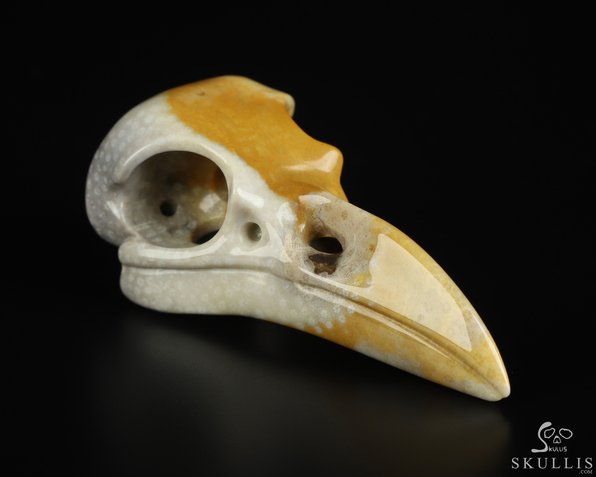 Necklace of 2.3" Coral Fossil Hand Carved Crystal Skull Pendant, Skull Jewelry Necklace of 2.3" Coral Fossil Hand Carved Crystal Skull Pendant, Skull Jewelry