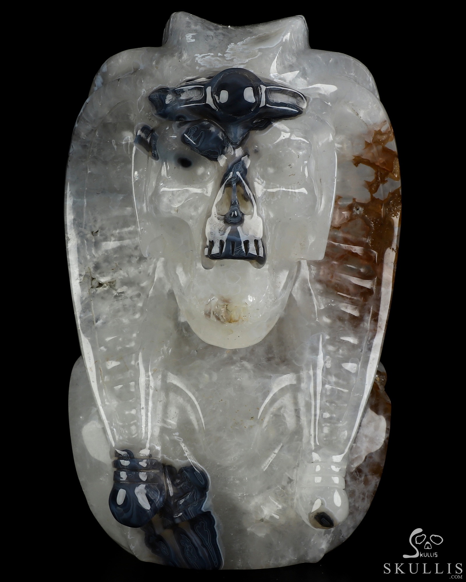 7.2" Premium Brazilian Agate Hand Carved Vampire Crystal Skull Sculpture, Crystal Healing 7.2" Premium Brazilian Agate Hand Carved Vampire Crystal Skull Sculpture, Crystal Healing