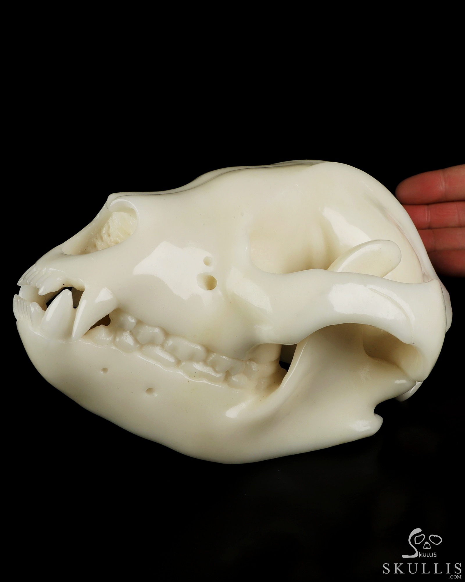 8.0" White Jade Hand Carved Wolf Crystal Skull Sculpture, Crystal Healing 8.0" White Jade Hand Carved Wolf Crystal Skull Sculpture, Crystal Healing