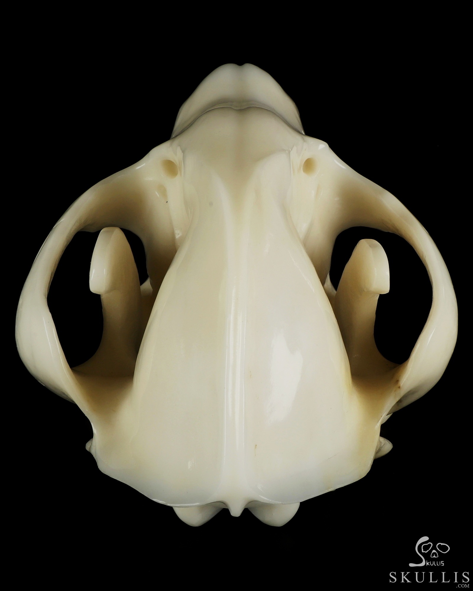 8.0" White Jade Hand Carved Wolf Crystal Skull Sculpture, Crystal Healing 8.0" White Jade Hand Carved Wolf Crystal Skull Sculpture, Crystal Healing