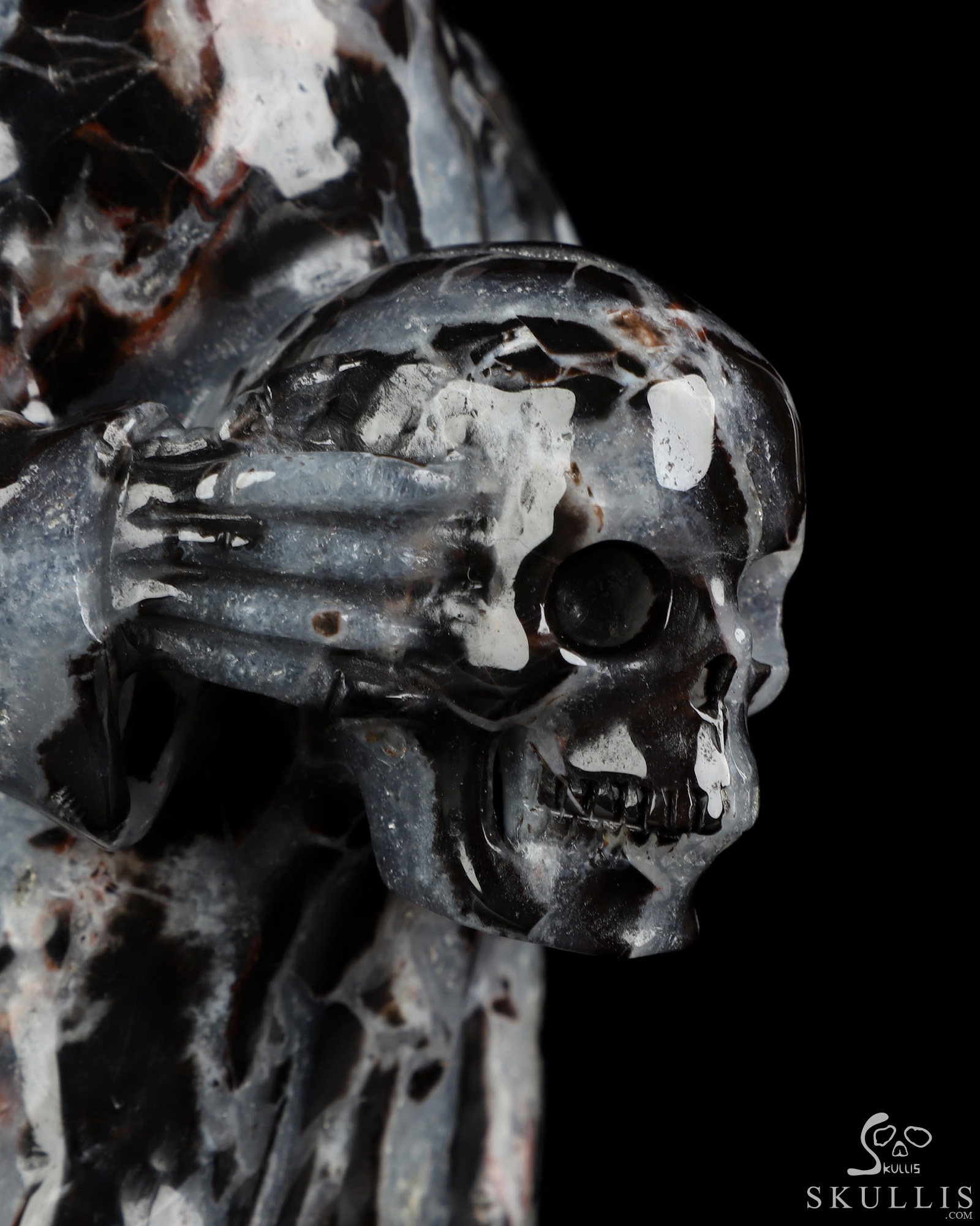 7.1" Black Zebra Agate Hand Carved Death Crystal Skull Sculpture, Crystal Healing 7.1" Black Zebra Agate Hand Carved Death Crystal Skull Sculpture, Crystal Healing