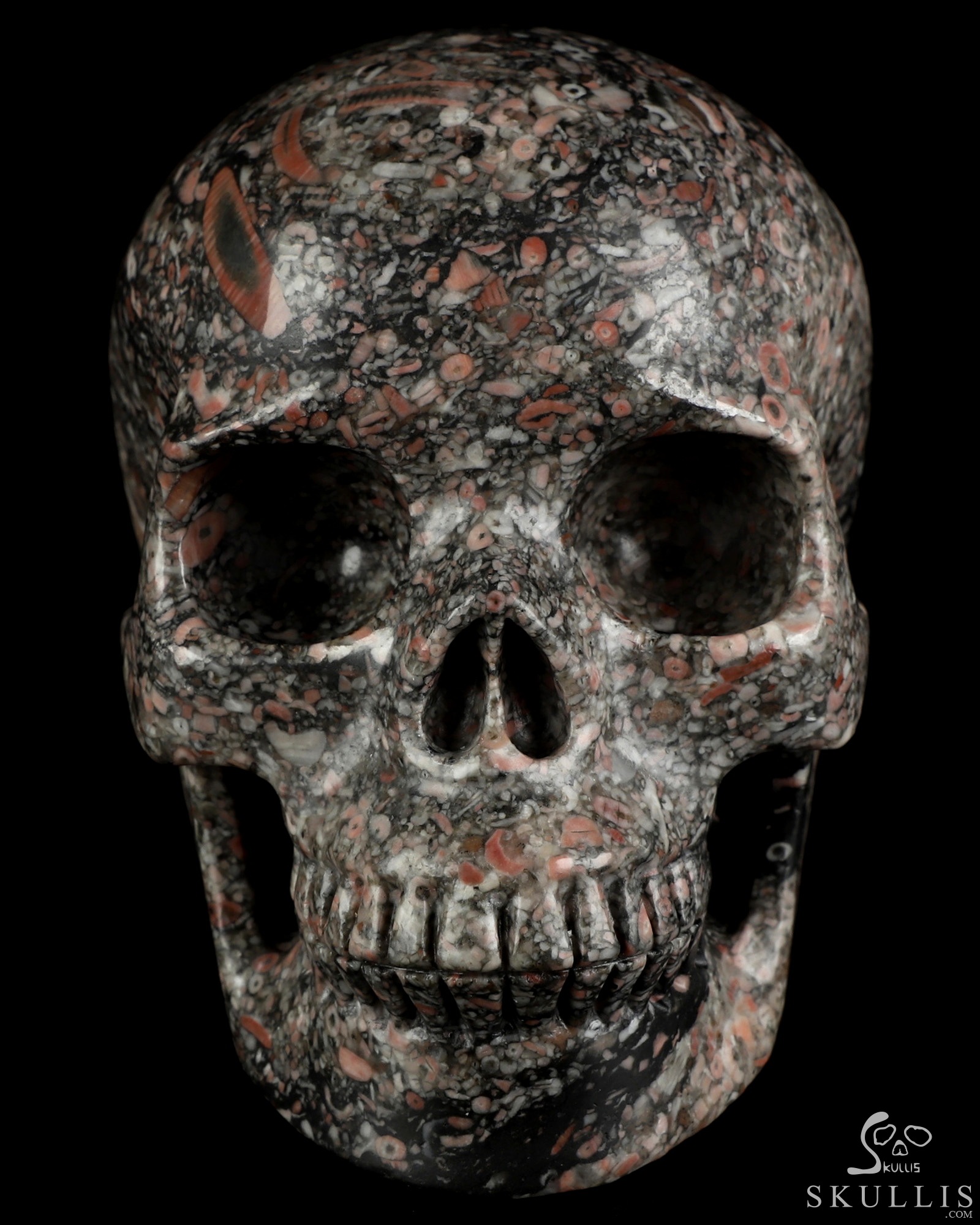 5.0" Crinoid Fossil Hand Carved Crystal Skull, Realistic, Crystal Healing 5.0" Crinoid Fossil Hand Carved Crystal Skull, Realistic, Crystal Healing