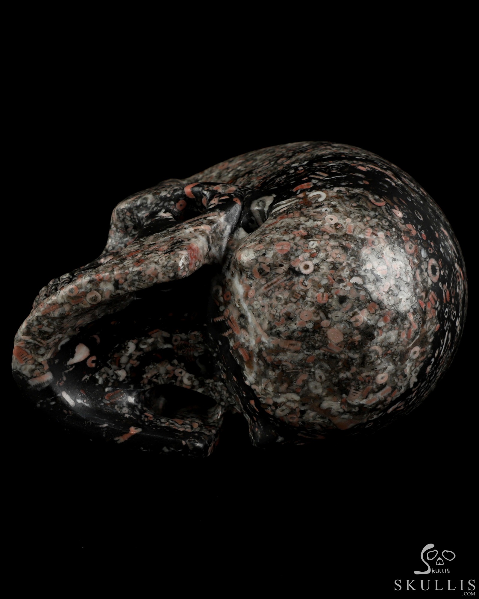 5.0" Crinoid Fossil Hand Carved Crystal Skull, Realistic, Crystal Healing 5.0" Crinoid Fossil Hand Carved Crystal Skull, Realistic, Crystal Healing