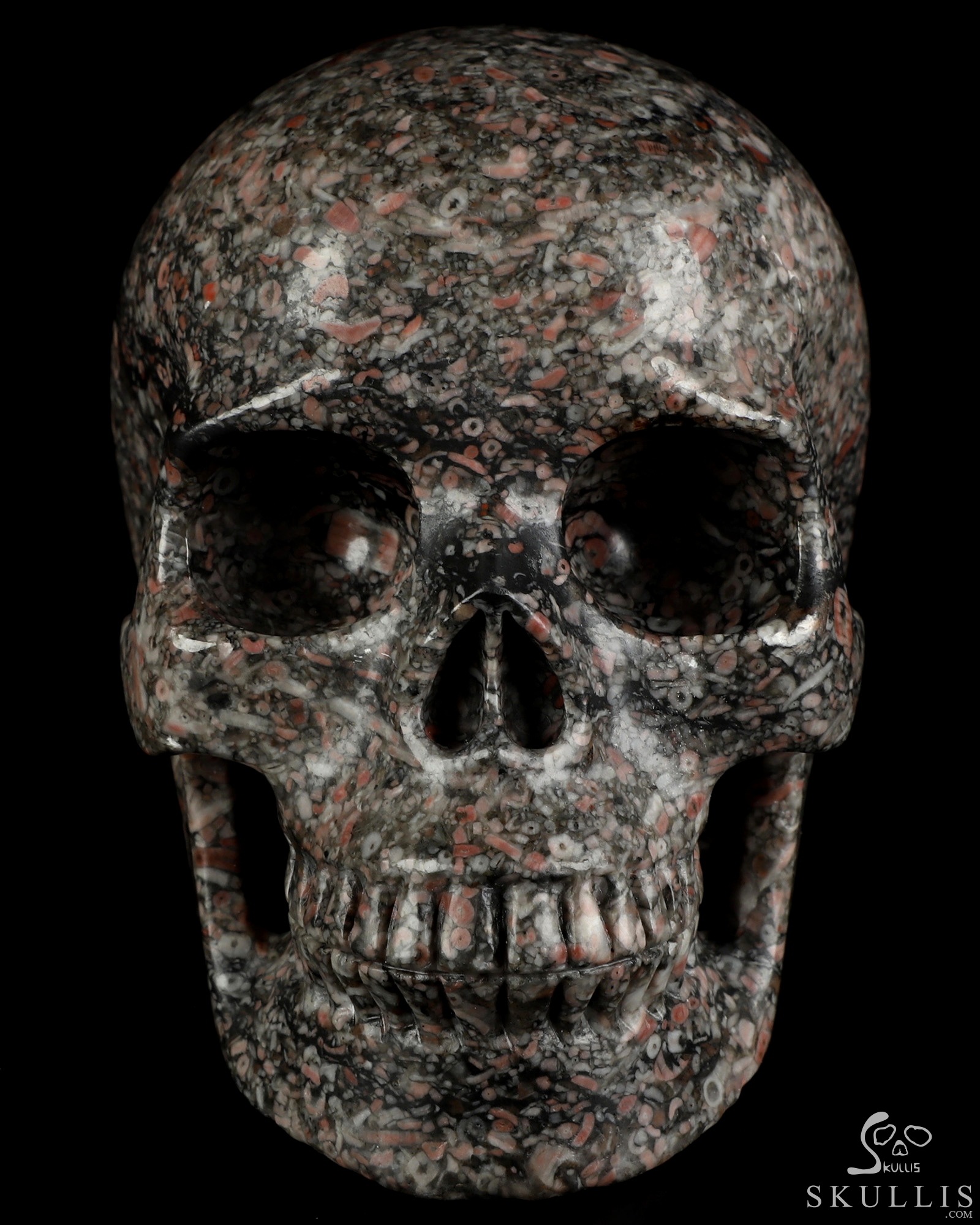 5.0" Crinoid Fossil Hand Carved Crystal Skull, Realistic, Crystal Healing 5.0" Crinoid Fossil Hand Carved Crystal Skull, Realistic, Crystal Healing