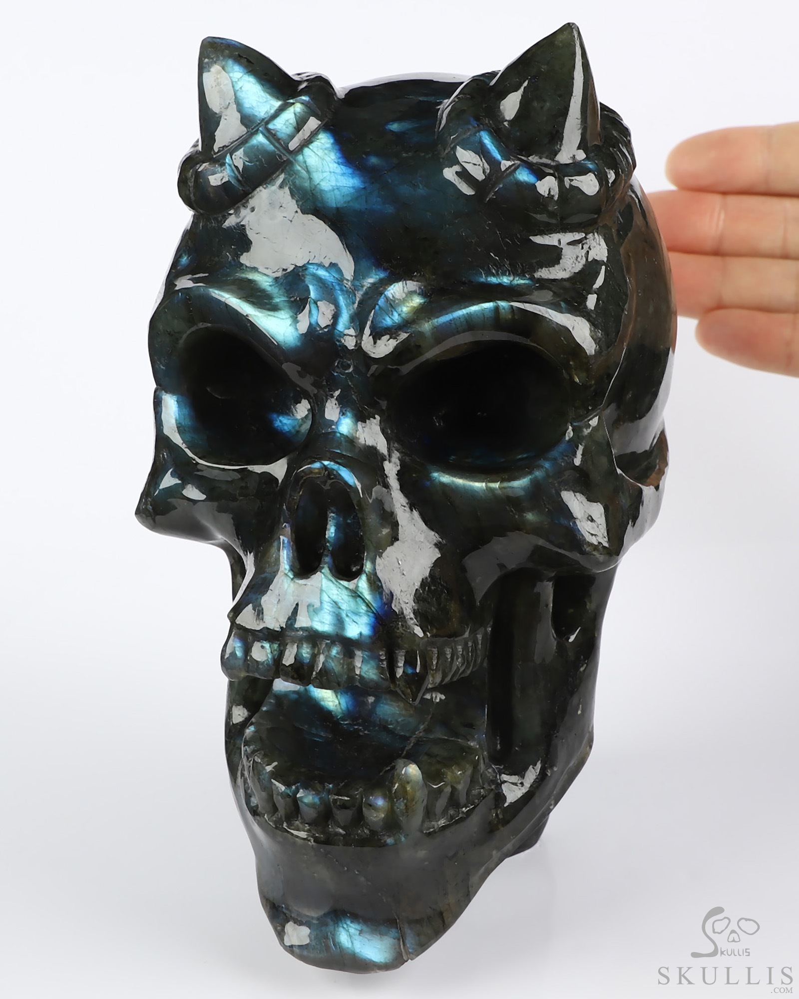 Ring-Base Horned Skull - 6.5" Labradorite Hand Carved Crystal Skull Fine Art Sculpture, Crystal Healing Ring-Base Horned Skull - 6.5" Labradorite Hand Carved Crystal Skull Fine Art Sculpture, Crystal Healing