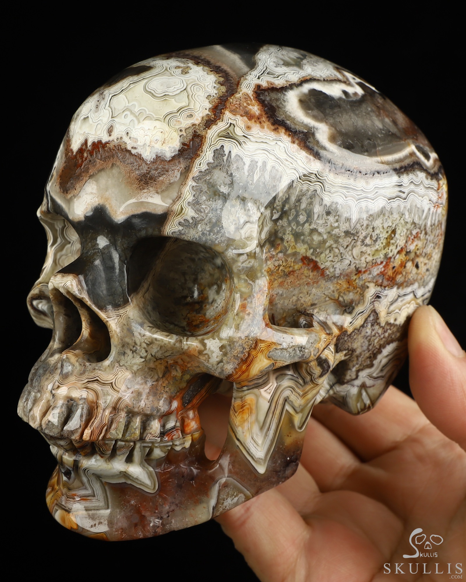 Gemstone 5.0" Red Crazy Lace Agate Hand Carved Crystal Skull, Super Realistic, Crystal Healing Gemstone 5.0" Red Crazy Lace Agate Hand Carved Crystal Skull, Super Realistic, Crystal Healing