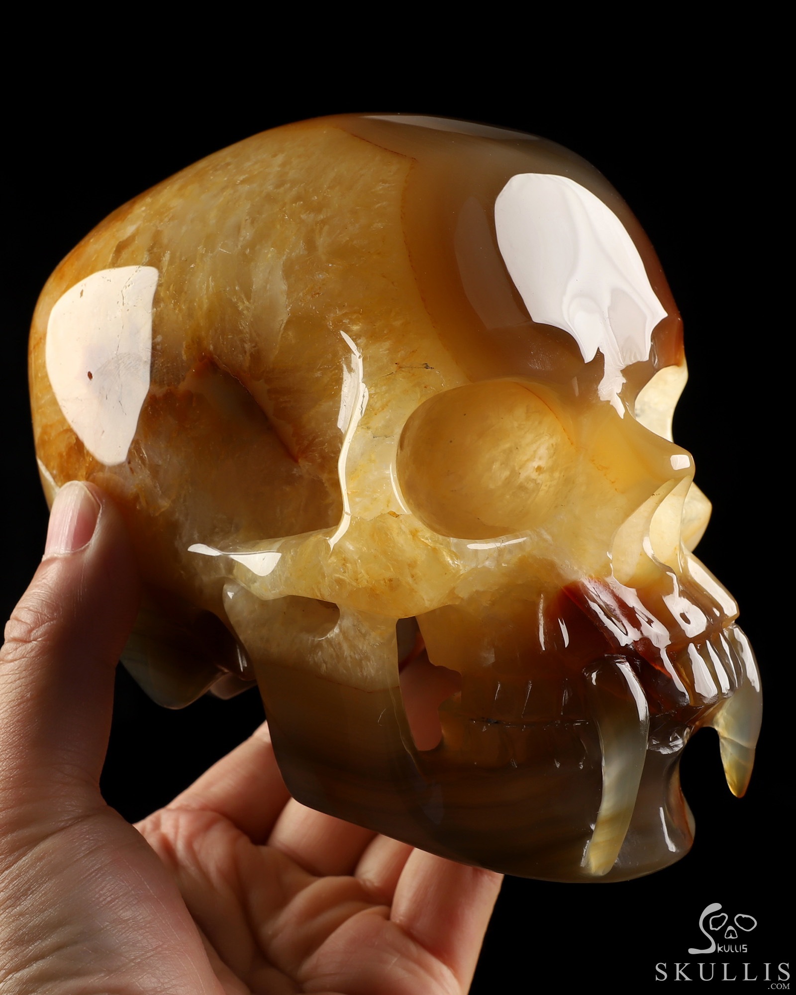 6.1" Premium Brazilian Agate Hand Carved Vampire Crystal Skull Fine Art Sculpture, Crystal Healing 6.1" Premium Brazilian Agate Hand Carved Vampire Crystal Skull Fine Art Sculpture, Crystal Healing