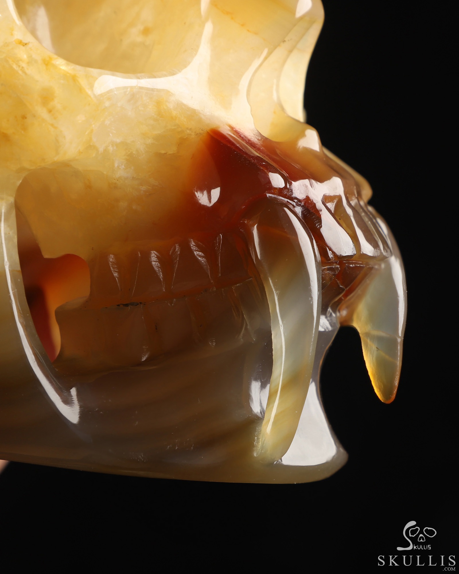 6.1" Premium Brazilian Agate Hand Carved Vampire Crystal Skull Fine Art Sculpture, Crystal Healing 6.1" Premium Brazilian Agate Hand Carved Vampire Crystal Skull Fine Art Sculpture, Crystal Healing