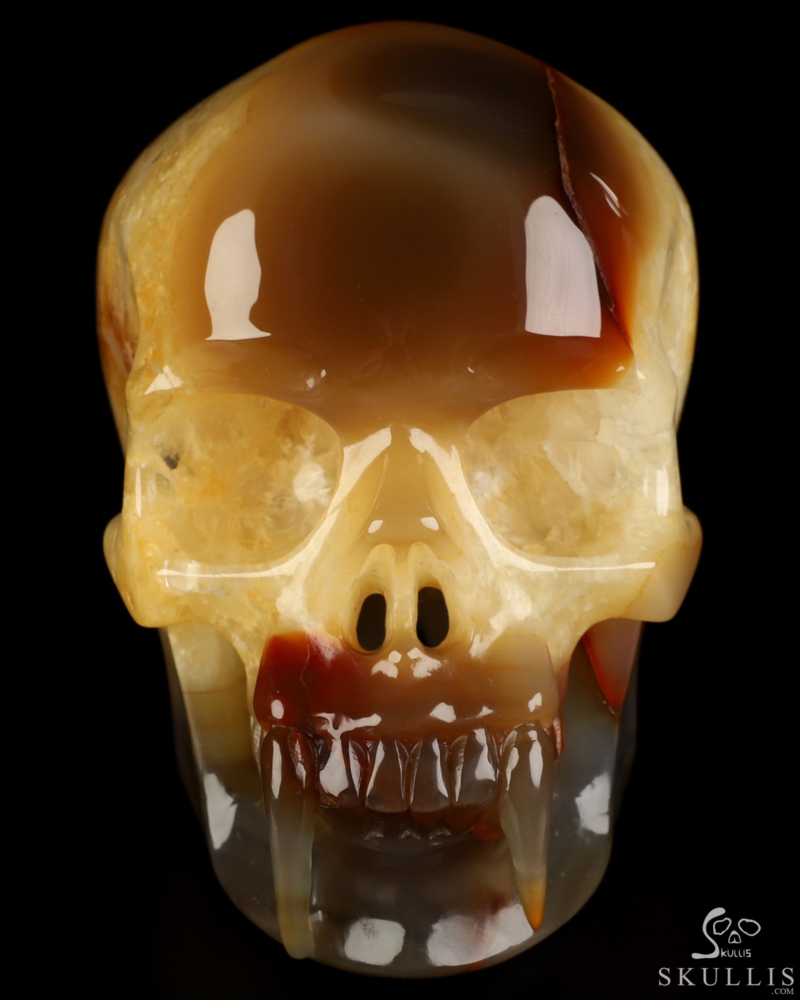 6.1" Premium Brazilian Agate Hand Carved Vampire Crystal Skull Fine Art Sculpture, Crystal Healing 6.1" Premium Brazilian Agate Hand Carved Vampire Crystal Skull Fine Art Sculpture, Crystal Healing
