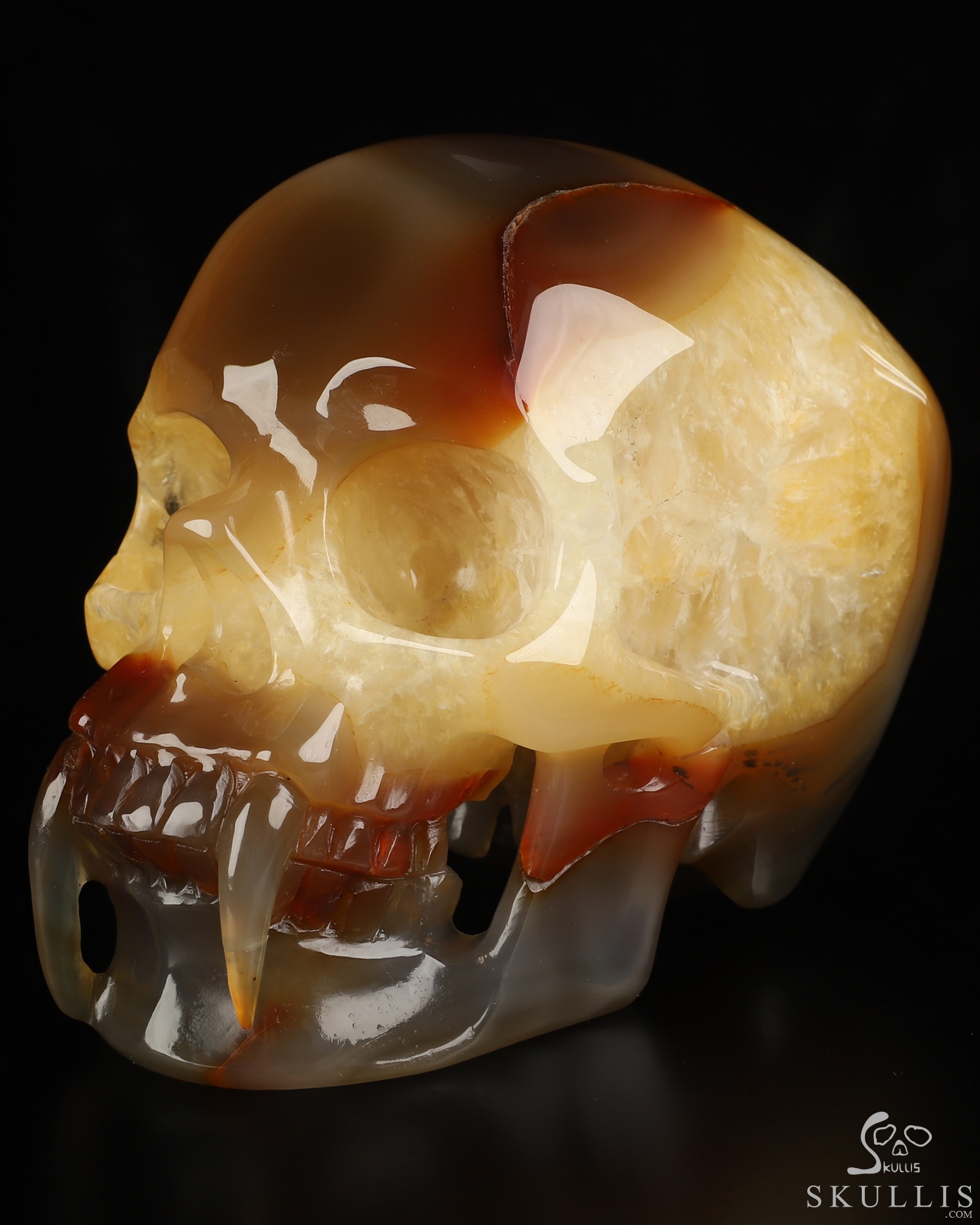 6.1" Premium Brazilian Agate Hand Carved Vampire Crystal Skull Fine Art Sculpture, Crystal Healing 6.1" Premium Brazilian Agate Hand Carved Vampire Crystal Skull Fine Art Sculpture, Crystal Healing