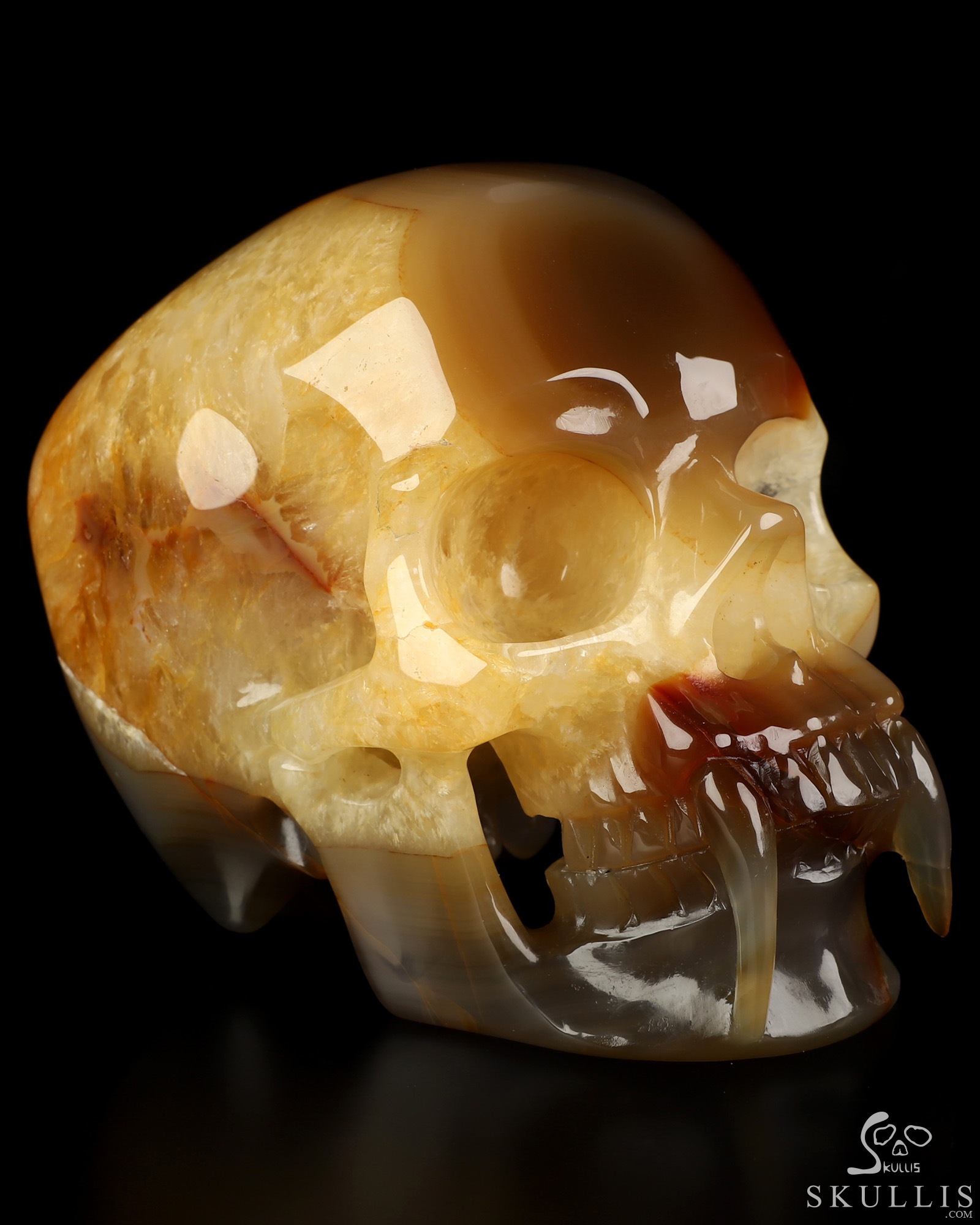 6.1" Premium Brazilian Agate Hand Carved Vampire Crystal Skull Fine Art Sculpture, Crystal Healing 6.1" Premium Brazilian Agate Hand Carved Vampire Crystal Skull Fine Art Sculpture, Crystal Healing