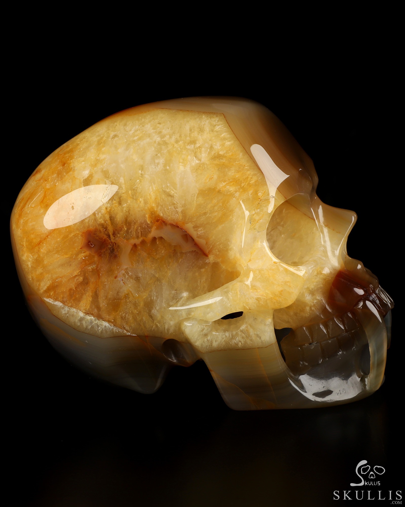 6.1" Premium Brazilian Agate Hand Carved Vampire Crystal Skull Fine Art Sculpture, Crystal Healing 6.1" Premium Brazilian Agate Hand Carved Vampire Crystal Skull Fine Art Sculpture, Crystal Healing