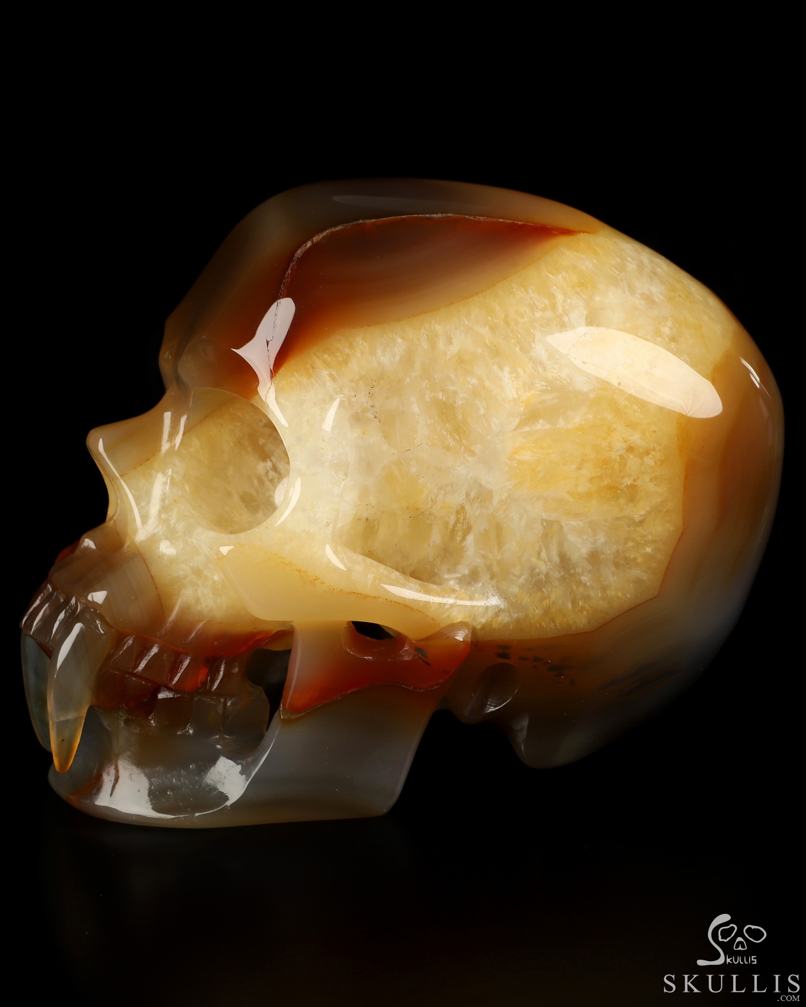 6.1" Premium Brazilian Agate Hand Carved Vampire Crystal Skull Fine Art Sculpture, Crystal Healing 6.1" Premium Brazilian Agate Hand Carved Vampire Crystal Skull Fine Art Sculpture, Crystal Healing