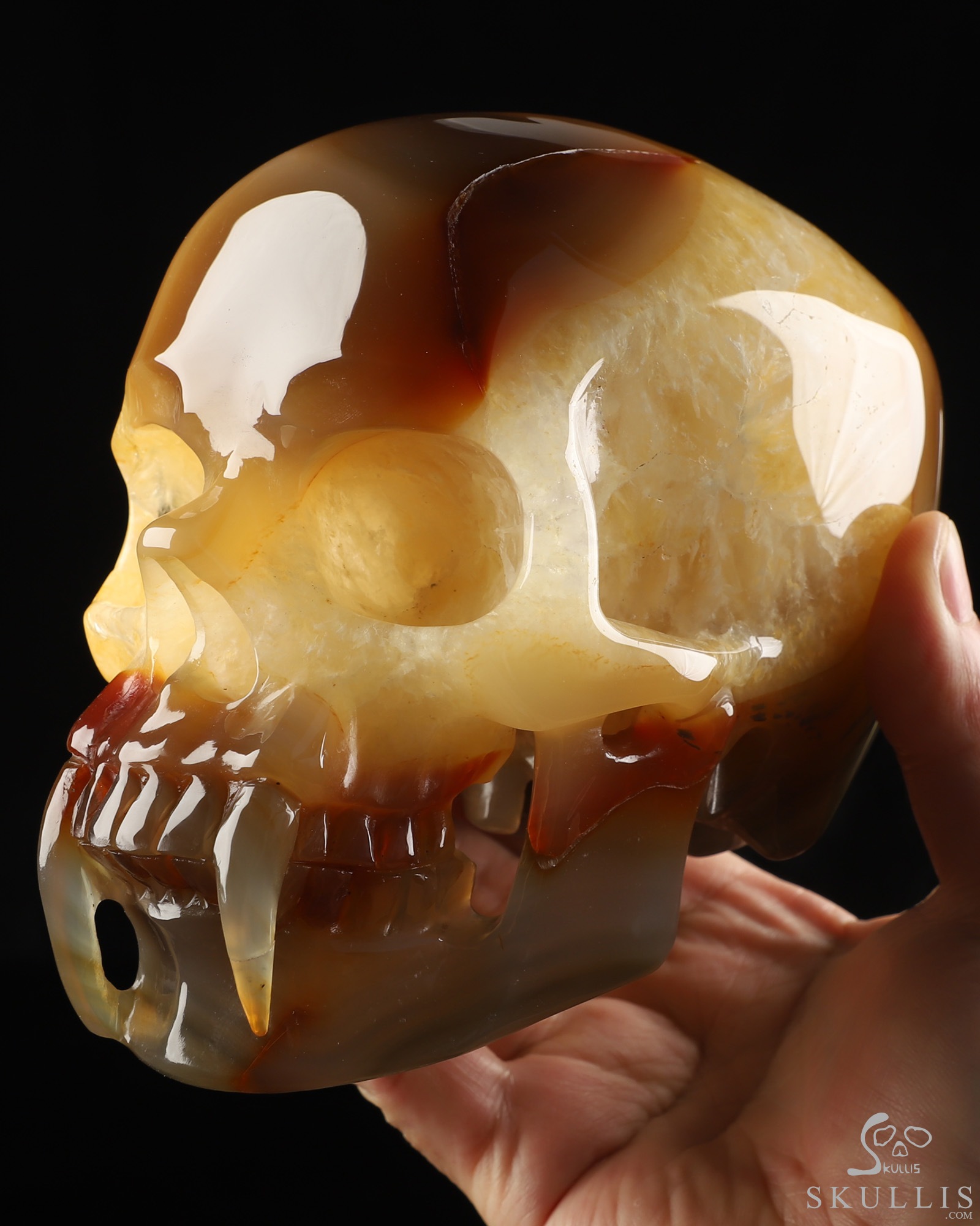 6.1" Premium Brazilian Agate Hand Carved Vampire Crystal Skull Fine Art Sculpture, Crystal Healing 6.1" Premium Brazilian Agate Hand Carved Vampire Crystal Skull Fine Art Sculpture, Crystal Healing