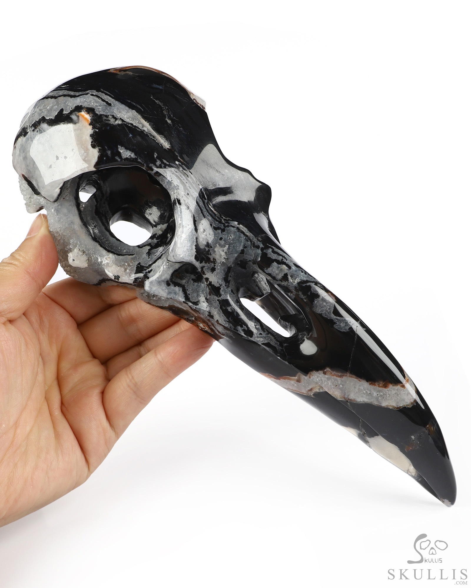 9.3" Black Zebra Agate Hand Carved Raven Crystal Skull Sculpture, Crystal Healing 9.3" Black Zebra Agate Hand Carved Raven Crystal Skull Sculpture, Crystal Healing