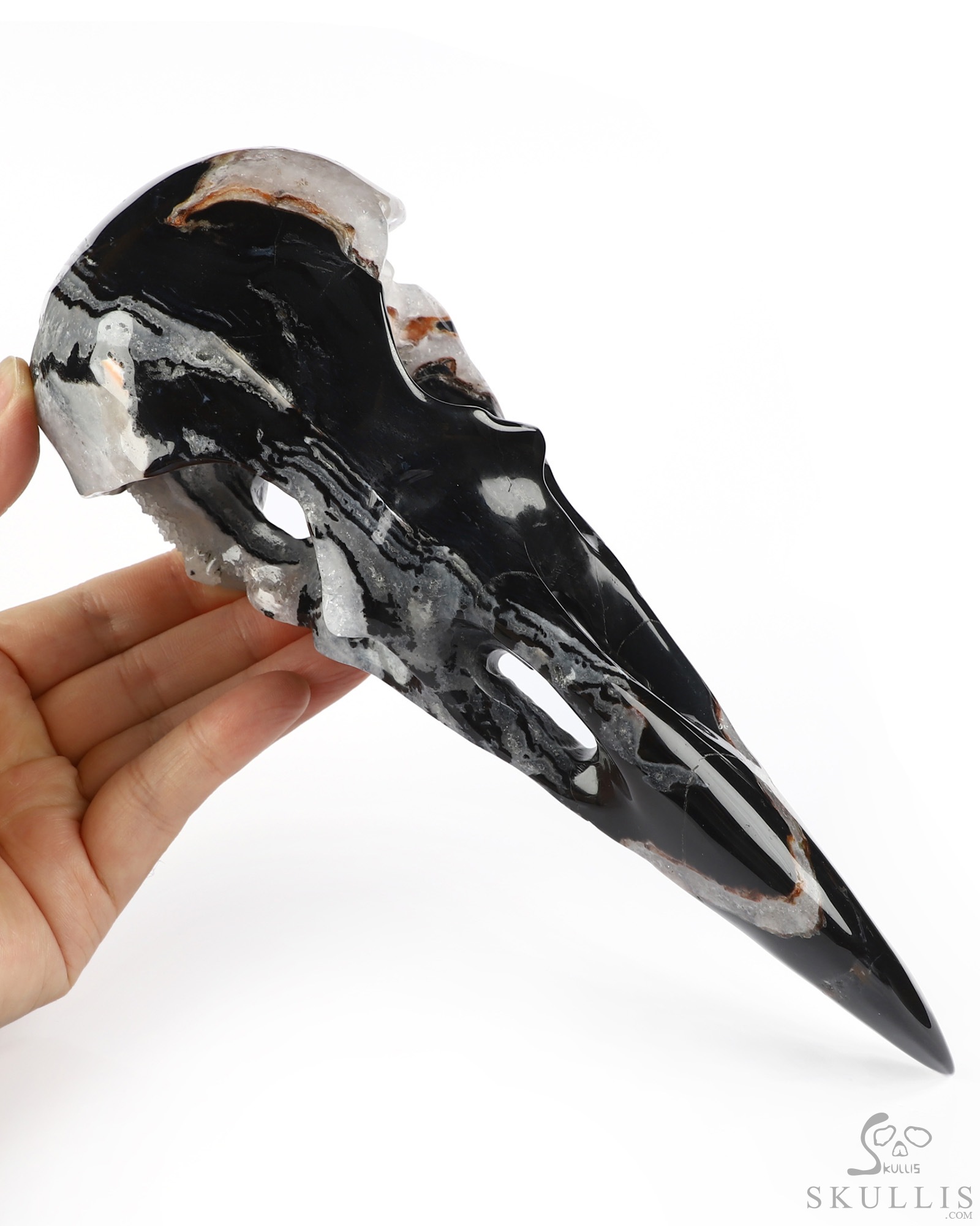 9.3" Black Zebra Agate Hand Carved Raven Crystal Skull Sculpture, Crystal Healing 9.3" Black Zebra Agate Hand Carved Raven Crystal Skull Sculpture, Crystal Healing