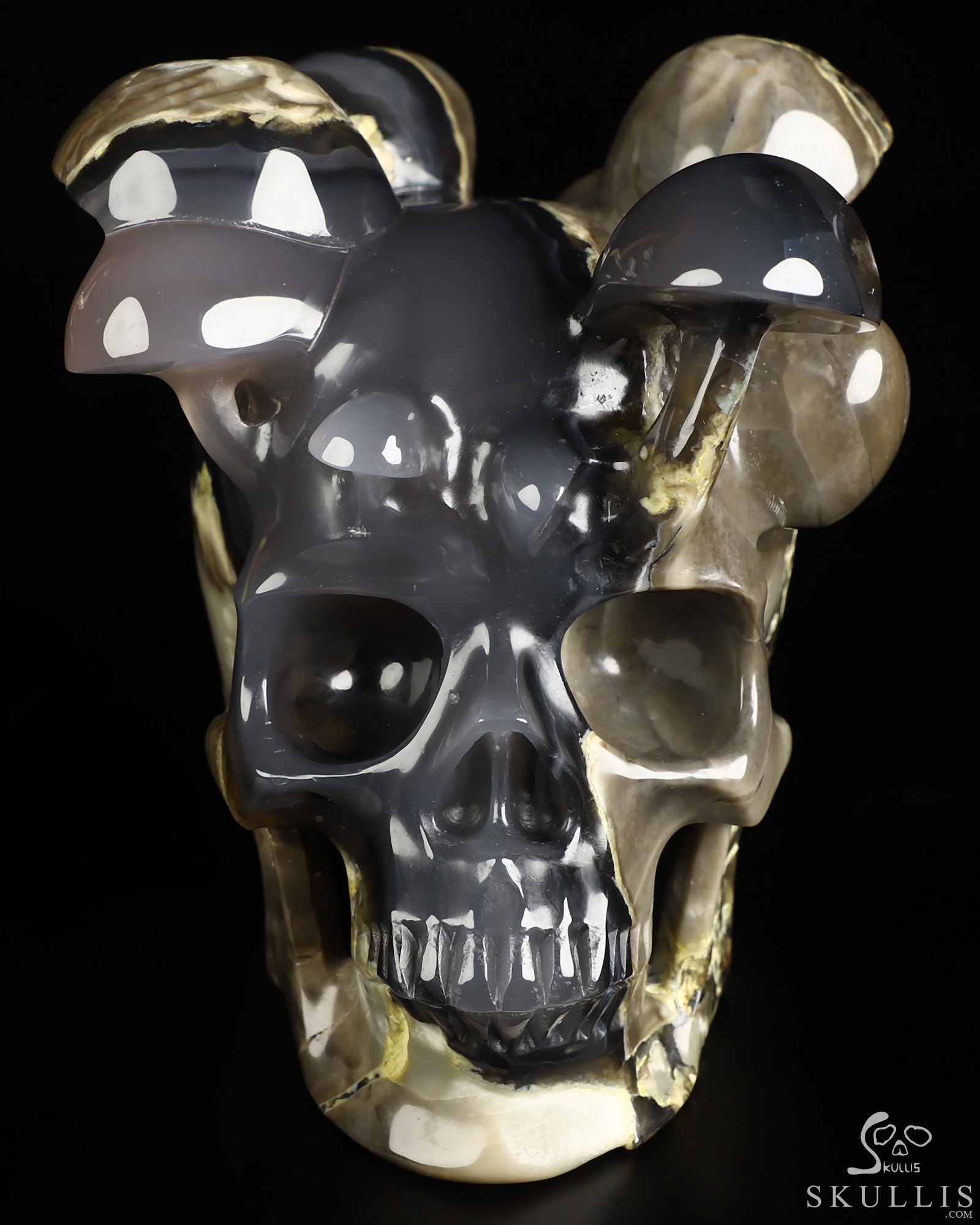 5.1" Volcano Agate Hand Carved Mushroom Crystal Skull Sculpture, Crystal Healing 5.1" Volcano Agate Hand Carved Mushroom Crystal Skull Sculpture, Crystal Healing