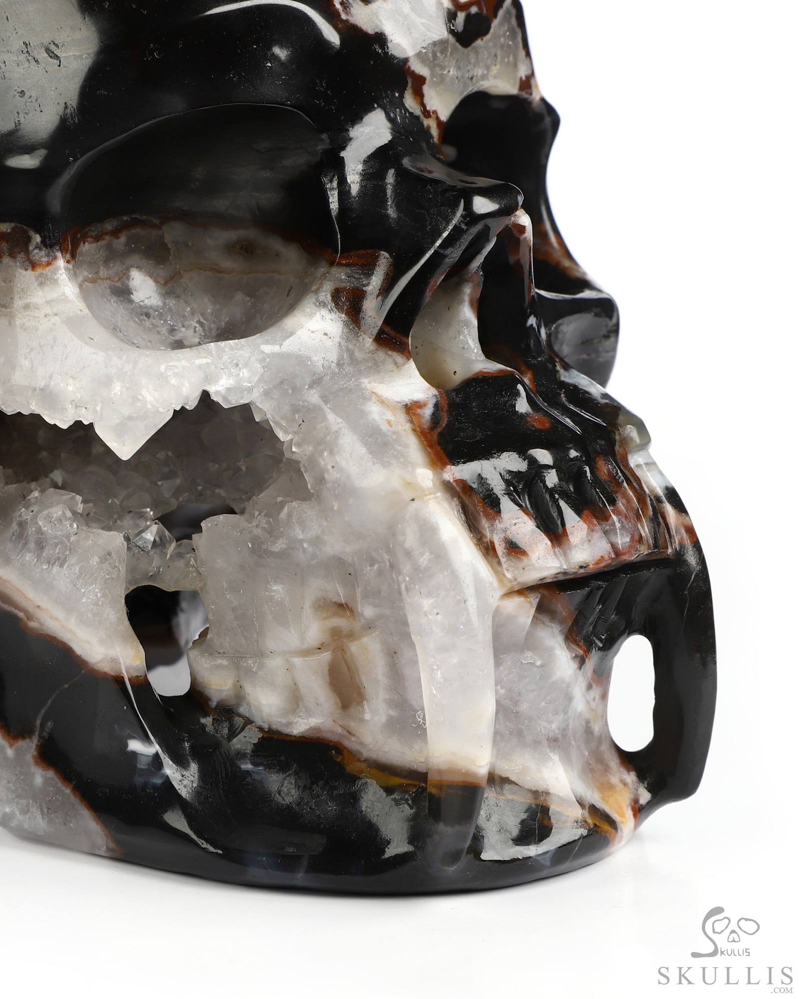 6.0" Black Zebra Agate Hand Carved Vampire Crystal Skull Fine Art Sculpture, Crystal Healing 6.0" Black Zebra Agate Hand Carved Vampire Crystal Skull Fine Art Sculpture, Crystal Healing