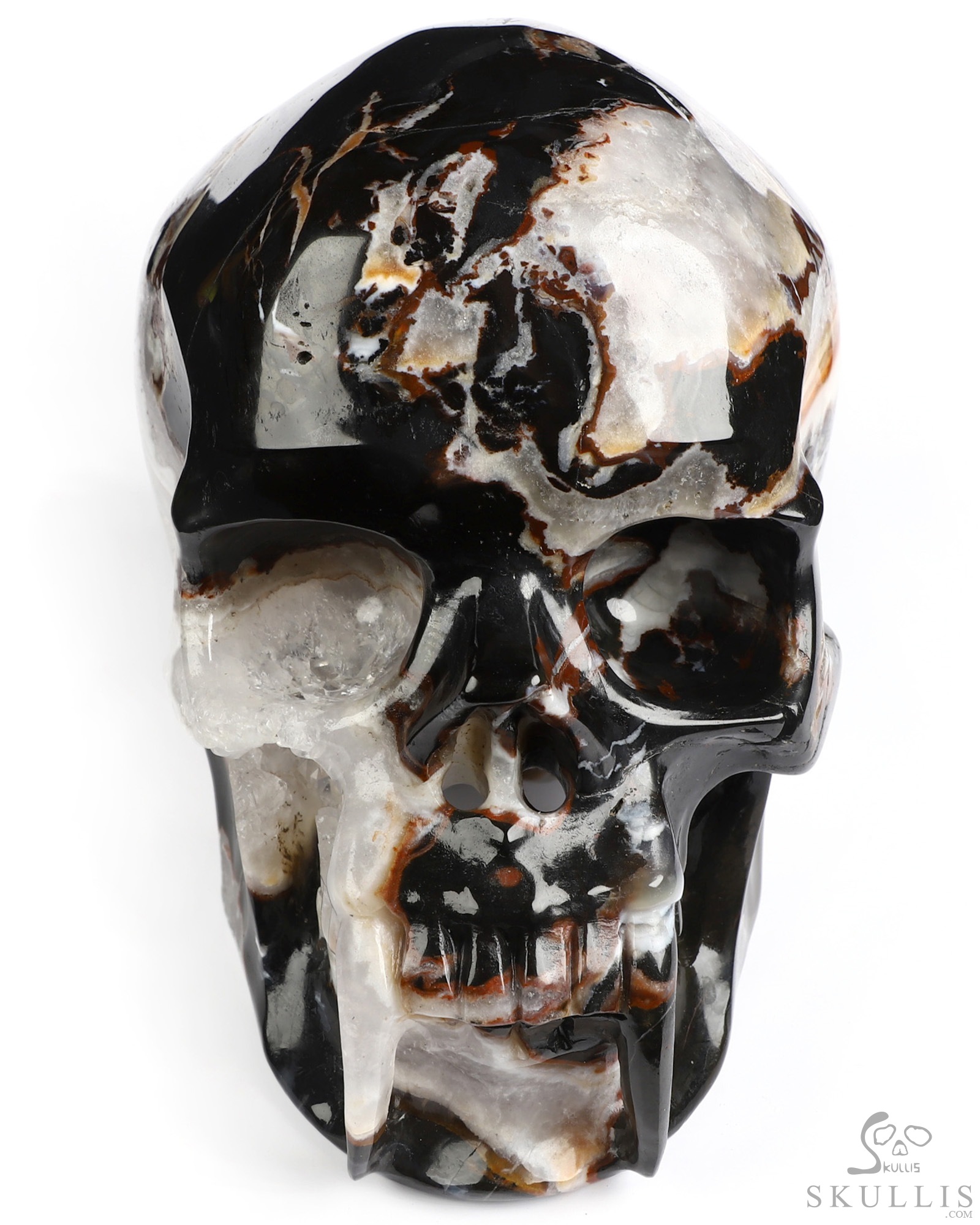 6.0" Black Zebra Agate Hand Carved Vampire Crystal Skull Fine Art Sculpture, Crystal Healing 6.0" Black Zebra Agate Hand Carved Vampire Crystal Skull Fine Art Sculpture, Crystal Healing