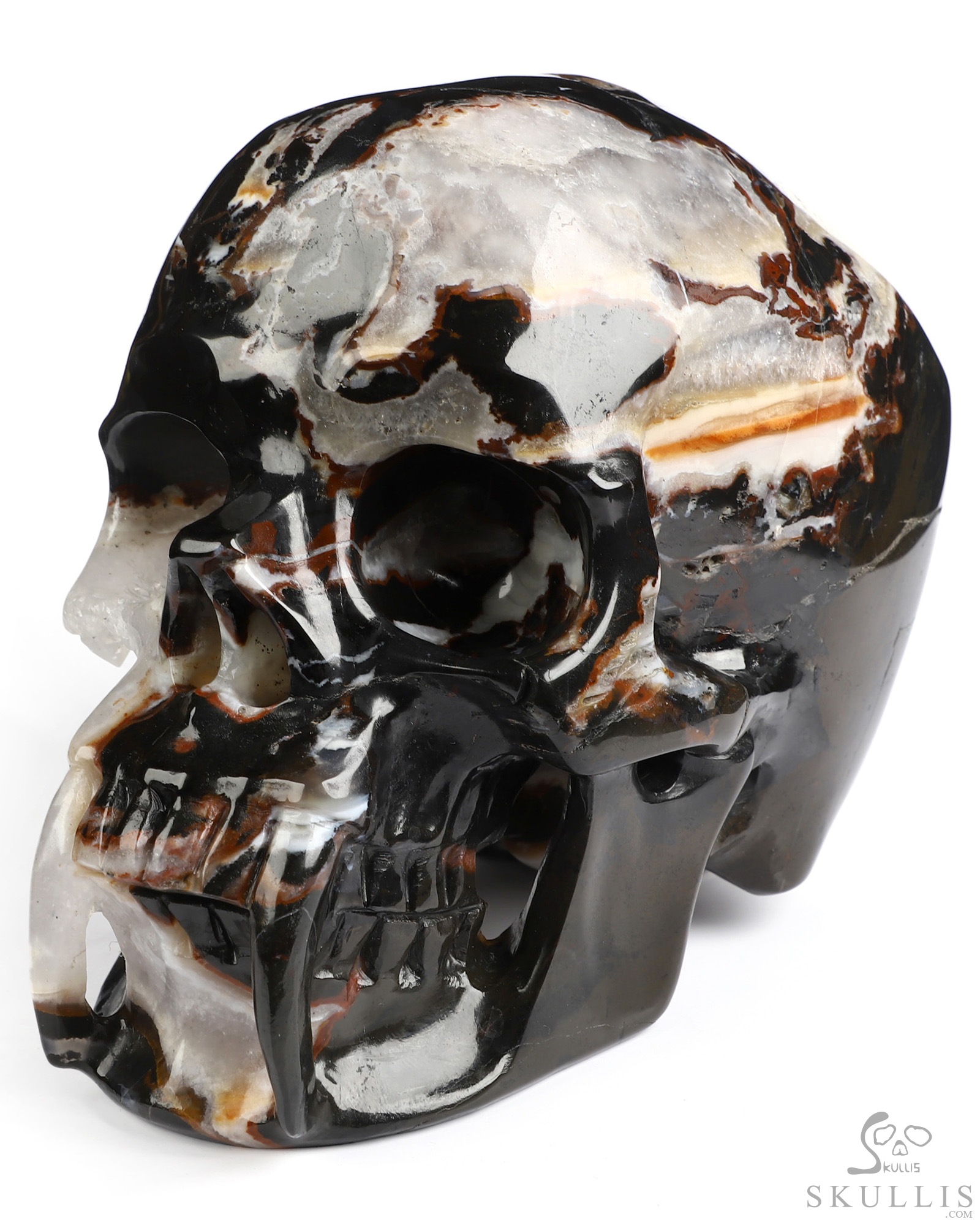 6.0" Black Zebra Agate Hand Carved Vampire Crystal Skull Fine Art Sculpture, Crystal Healing 6.0" Black Zebra Agate Hand Carved Vampire Crystal Skull Fine Art Sculpture, Crystal Healing