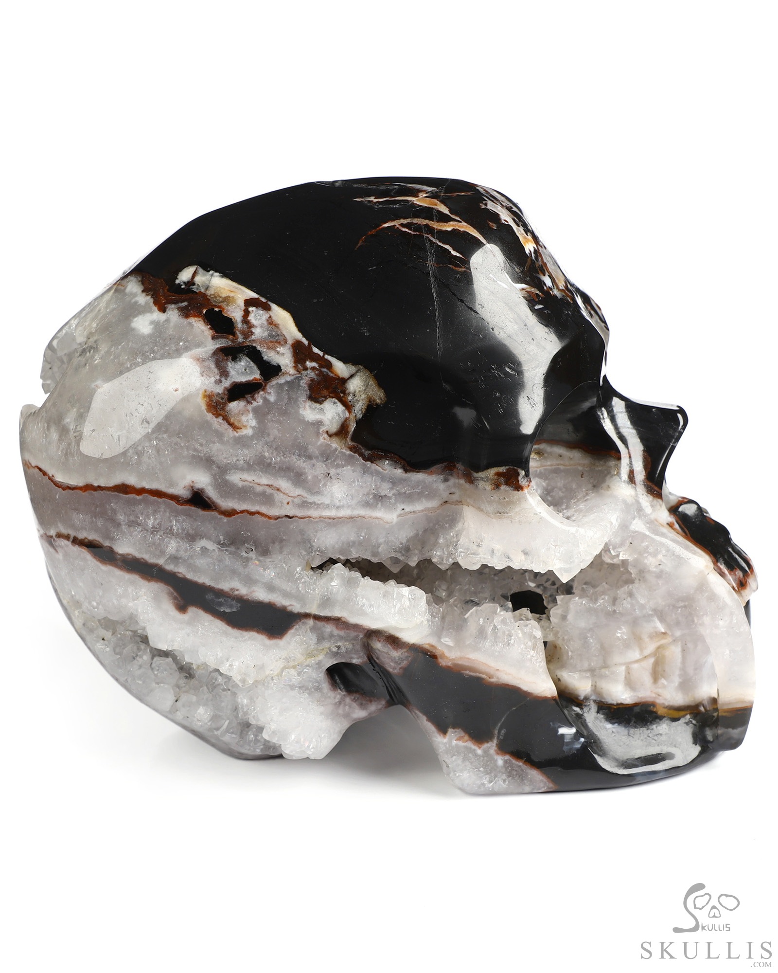 6.0" Black Zebra Agate Hand Carved Vampire Crystal Skull Fine Art Sculpture, Crystal Healing 6.0" Black Zebra Agate Hand Carved Vampire Crystal Skull Fine Art Sculpture, Crystal Healing
