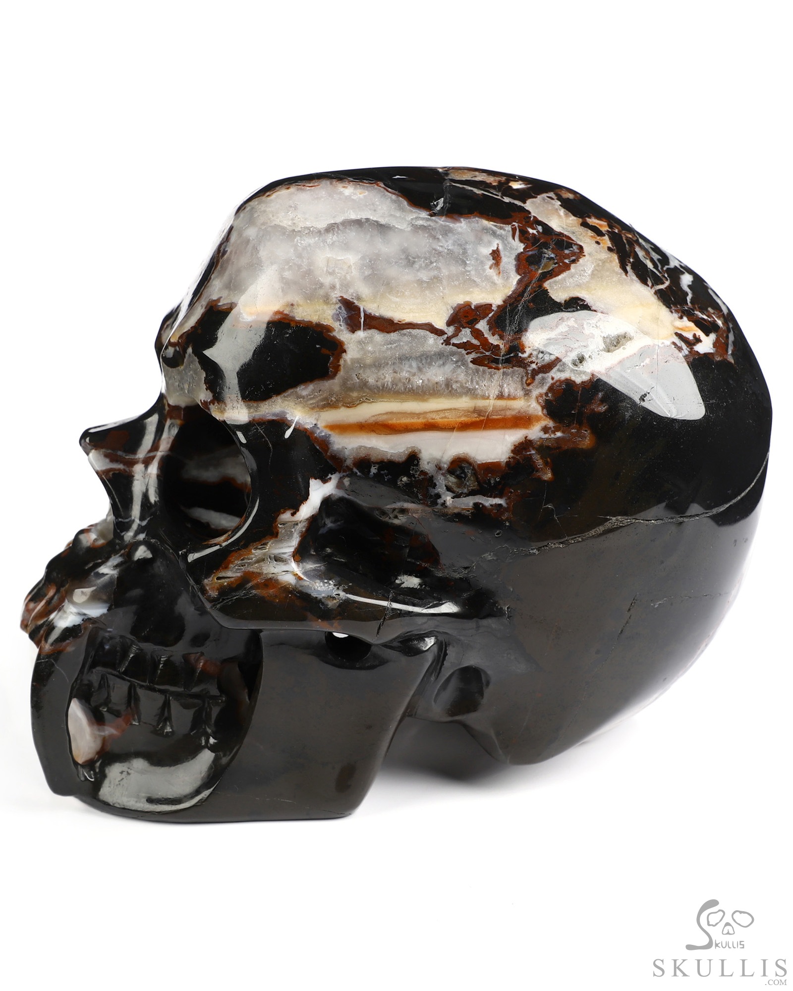 6.0" Black Zebra Agate Hand Carved Vampire Crystal Skull Fine Art Sculpture, Crystal Healing 6.0" Black Zebra Agate Hand Carved Vampire Crystal Skull Fine Art Sculpture, Crystal Healing