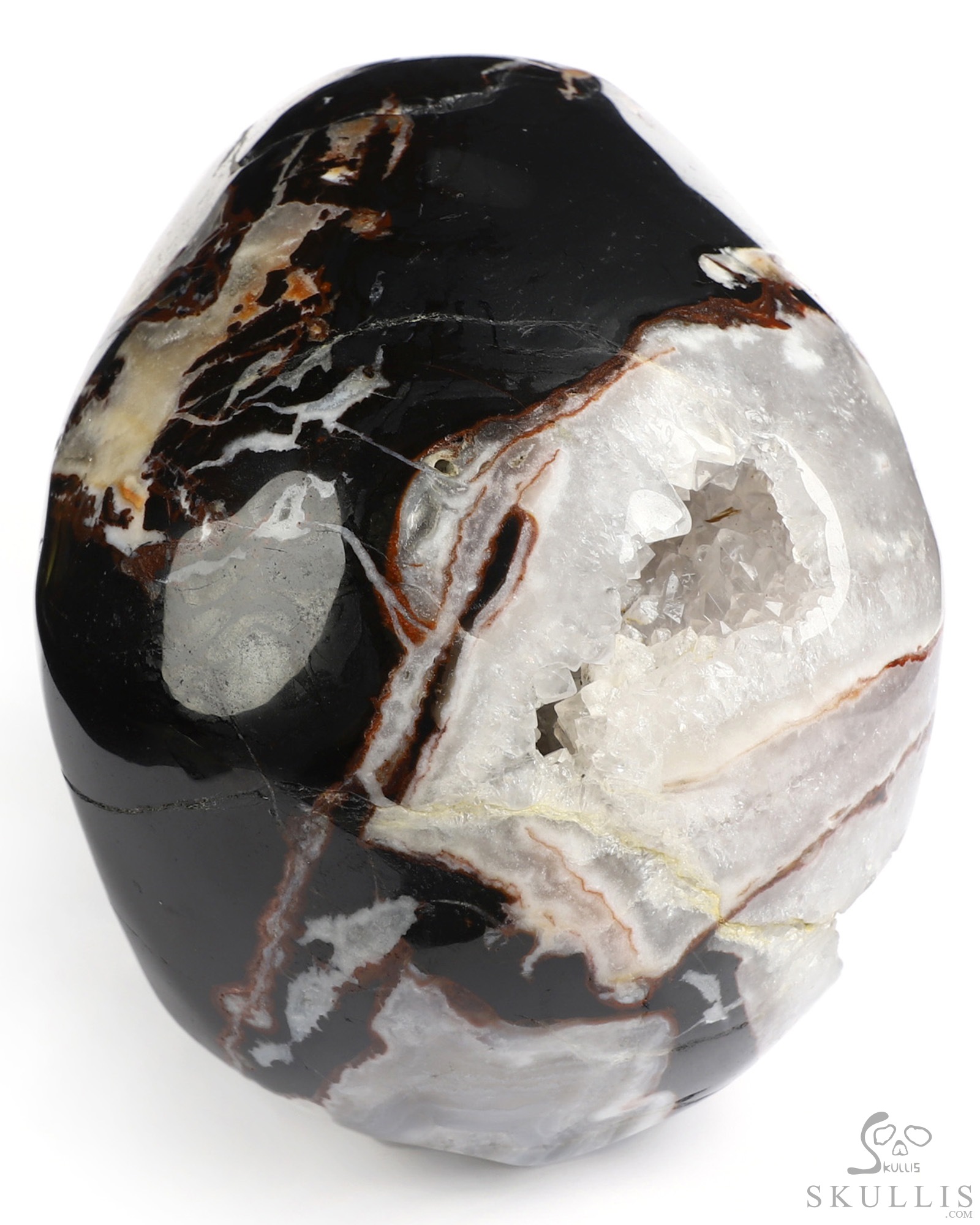 6.0" Black Zebra Agate Hand Carved Vampire Crystal Skull Fine Art Sculpture, Crystal Healing 6.0" Black Zebra Agate Hand Carved Vampire Crystal Skull Fine Art Sculpture, Crystal Healing