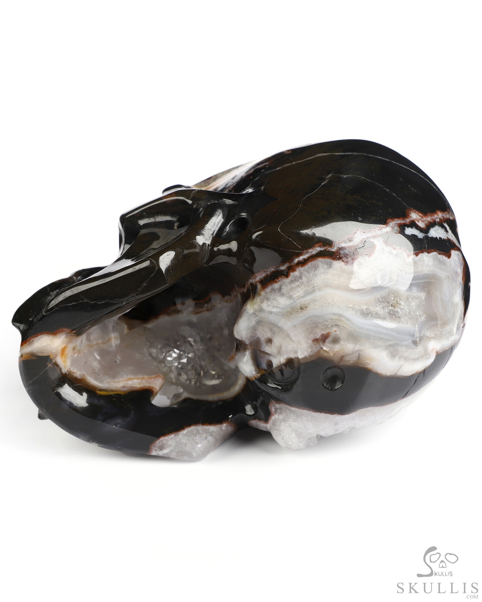 6.0" Black Zebra Agate Hand Carved Vampire Crystal Skull Fine Art Sculpture, Crystal Healing 6.0" Black Zebra Agate Hand Carved Vampire Crystal Skull Fine Art Sculpture, Crystal Healing