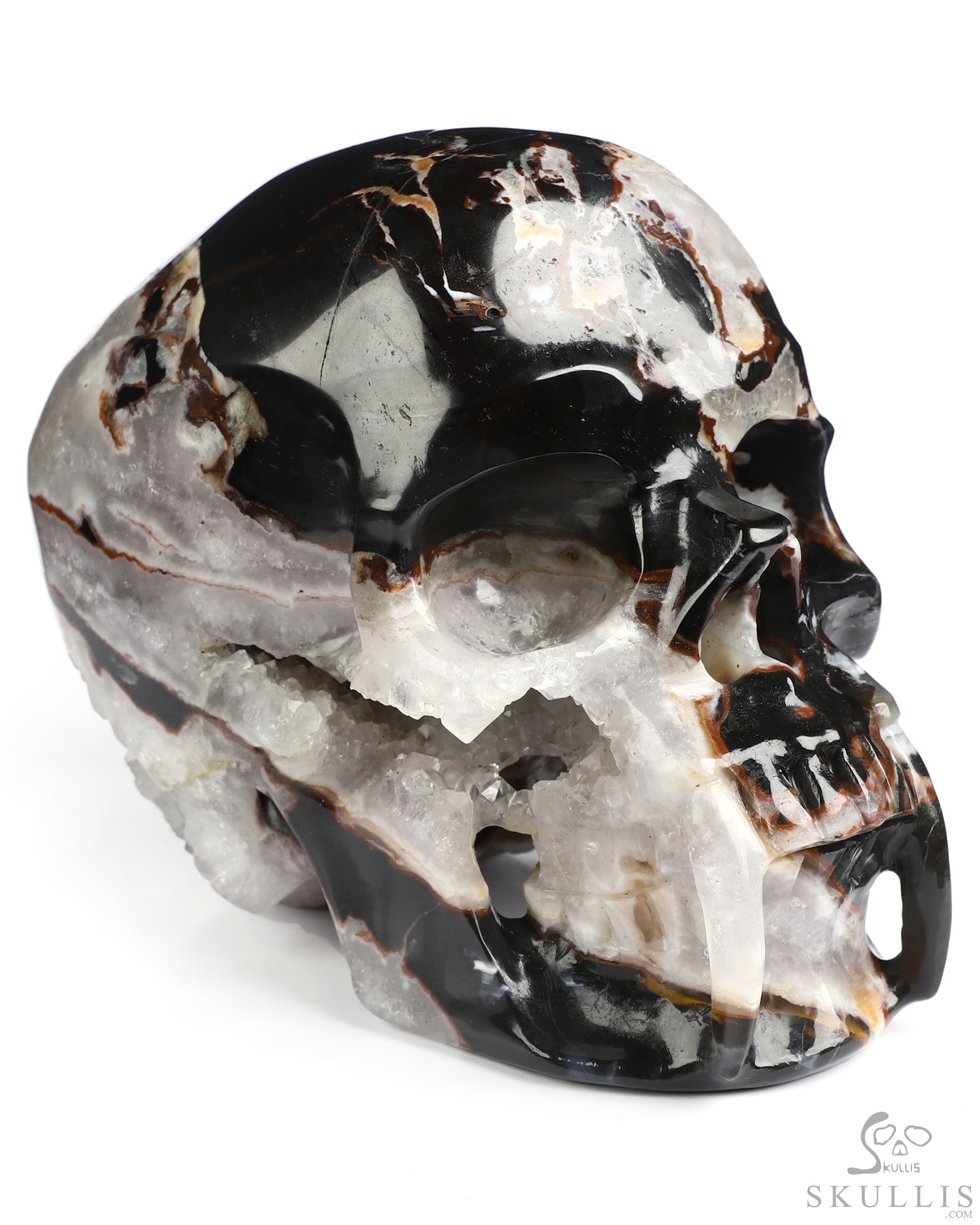 6.0" Black Zebra Agate Hand Carved Vampire Crystal Skull Fine Art Sculpture, Crystal Healing 6.0" Black Zebra Agate Hand Carved Vampire Crystal Skull Fine Art Sculpture, Crystal Healing