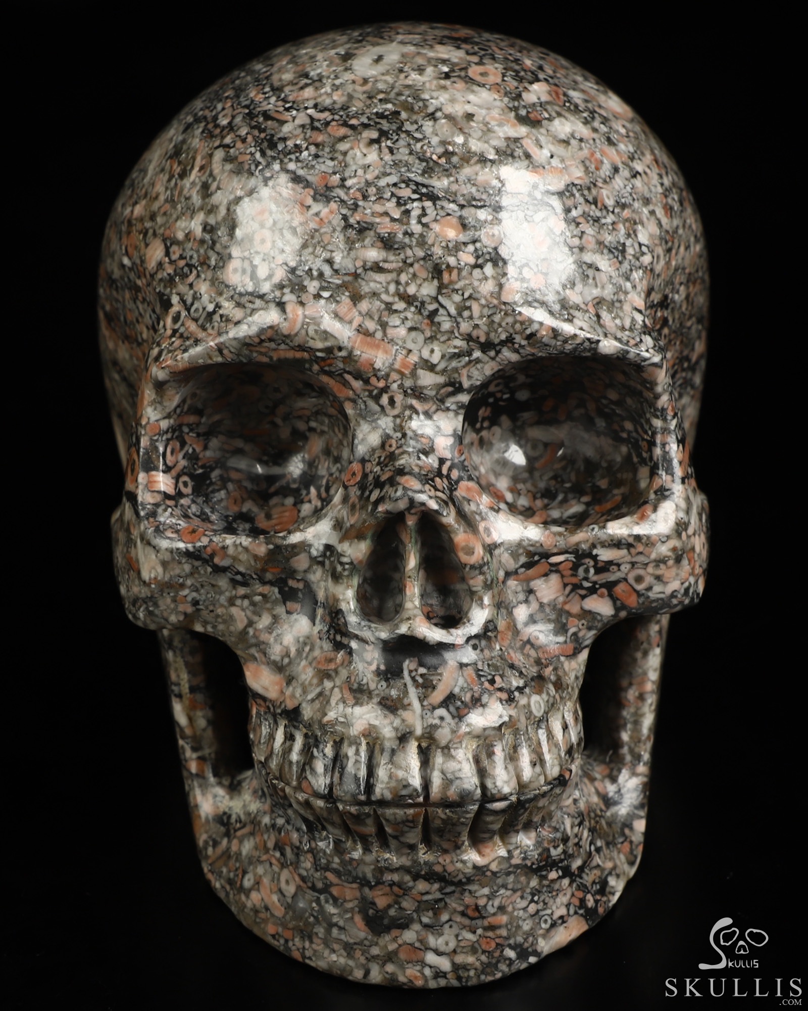 4.9" Crinoid Fossil Hand Carved Crystal Skull, Realistic, Crystal Healing 4.9" Crinoid Fossil Hand Carved Crystal Skull, Realistic, Crystal Healing