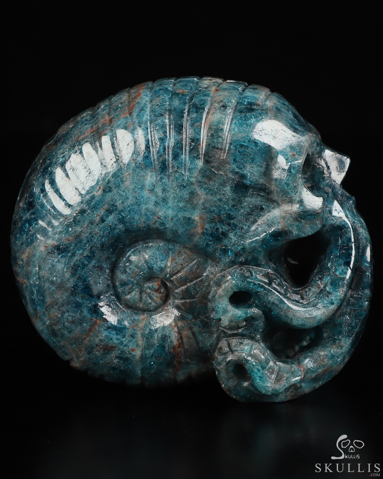 3.5" Blue Apatite Hand Carved Nautiloid Cthulhu Crystal Skull Sculpture, Crystal Healing 3.5" Blue Apatite Hand Carved Nautiloid Cthulhu Crystal Skull Sculpture, Crystal Healing