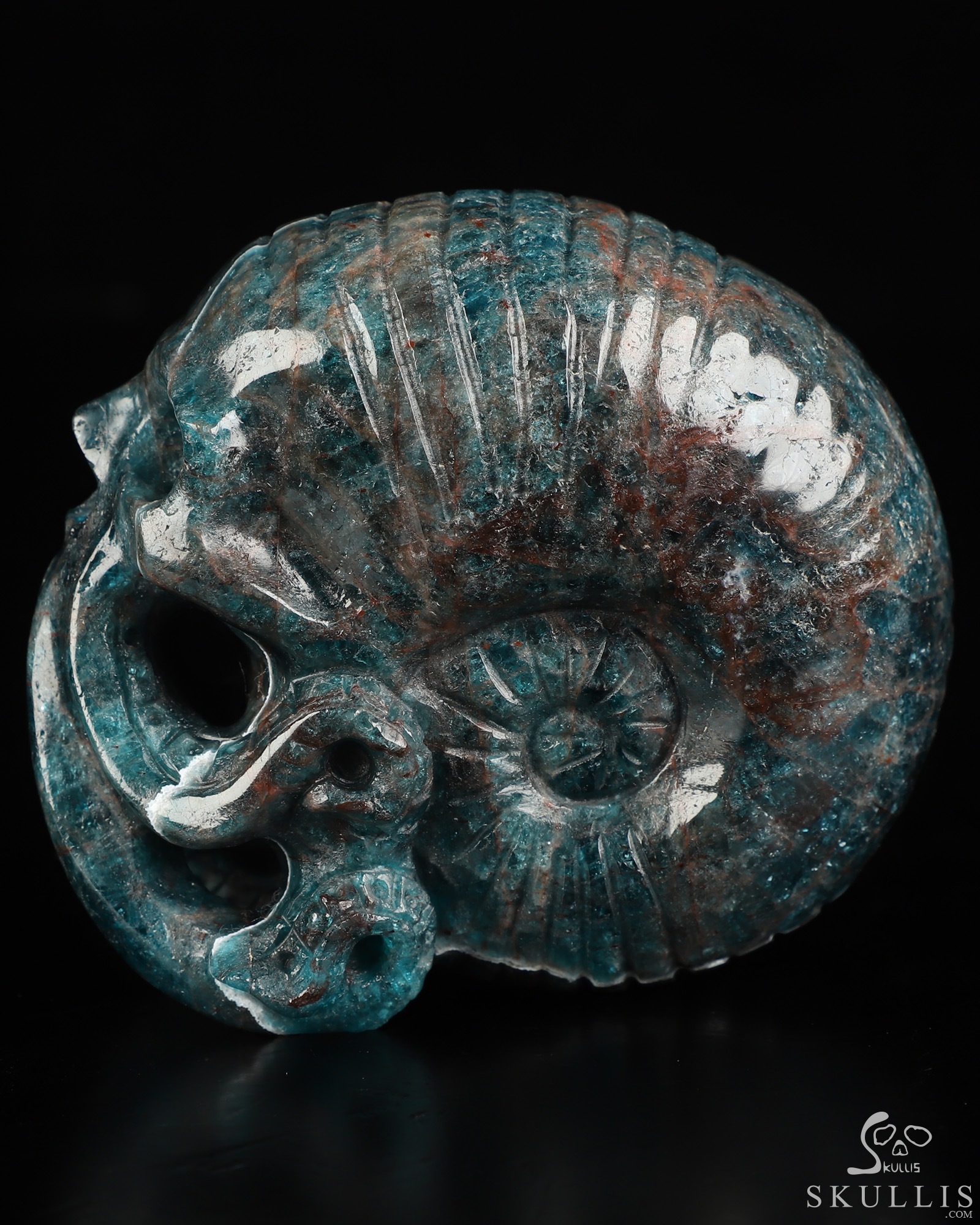3.5" Blue Apatite Hand Carved Nautiloid Cthulhu Crystal Skull Sculpture, Crystal Healing 3.5" Blue Apatite Hand Carved Nautiloid Cthulhu Crystal Skull Sculpture, Crystal Healing