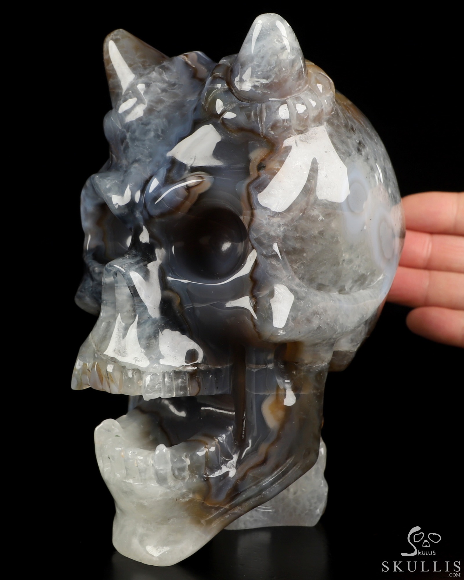 Ring-Base Horned Skull - 6.5" Premium Brazilian Agate Hand Carved Crystal Skull Sculpture, Crystal Healing Ring-Base Horned Skull - 6.5" Premium Brazilian Agate Hand Carved Crystal Skull Sculpture, Crystal Healing
