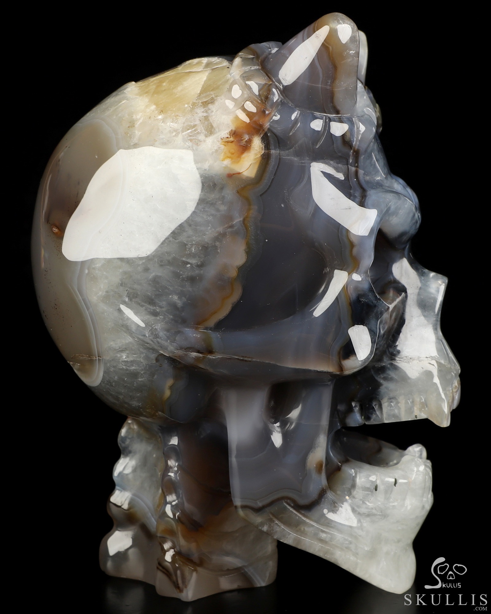 Ring-Base Horned Skull - 6.5" Premium Brazilian Agate Hand Carved Crystal Skull Sculpture, Crystal Healing Ring-Base Horned Skull - 6.5" Premium Brazilian Agate Hand Carved Crystal Skull Sculpture, Crystal Healing