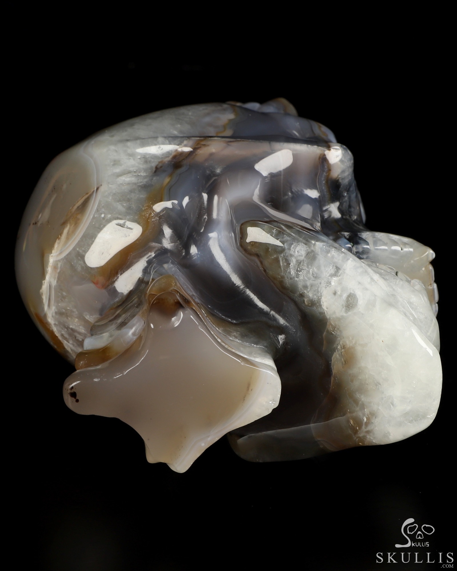 Ring-Base Horned Skull - 6.5" Premium Brazilian Agate Hand Carved Crystal Skull Sculpture, Crystal Healing Ring-Base Horned Skull - 6.5" Premium Brazilian Agate Hand Carved Crystal Skull Sculpture, Crystal Healing