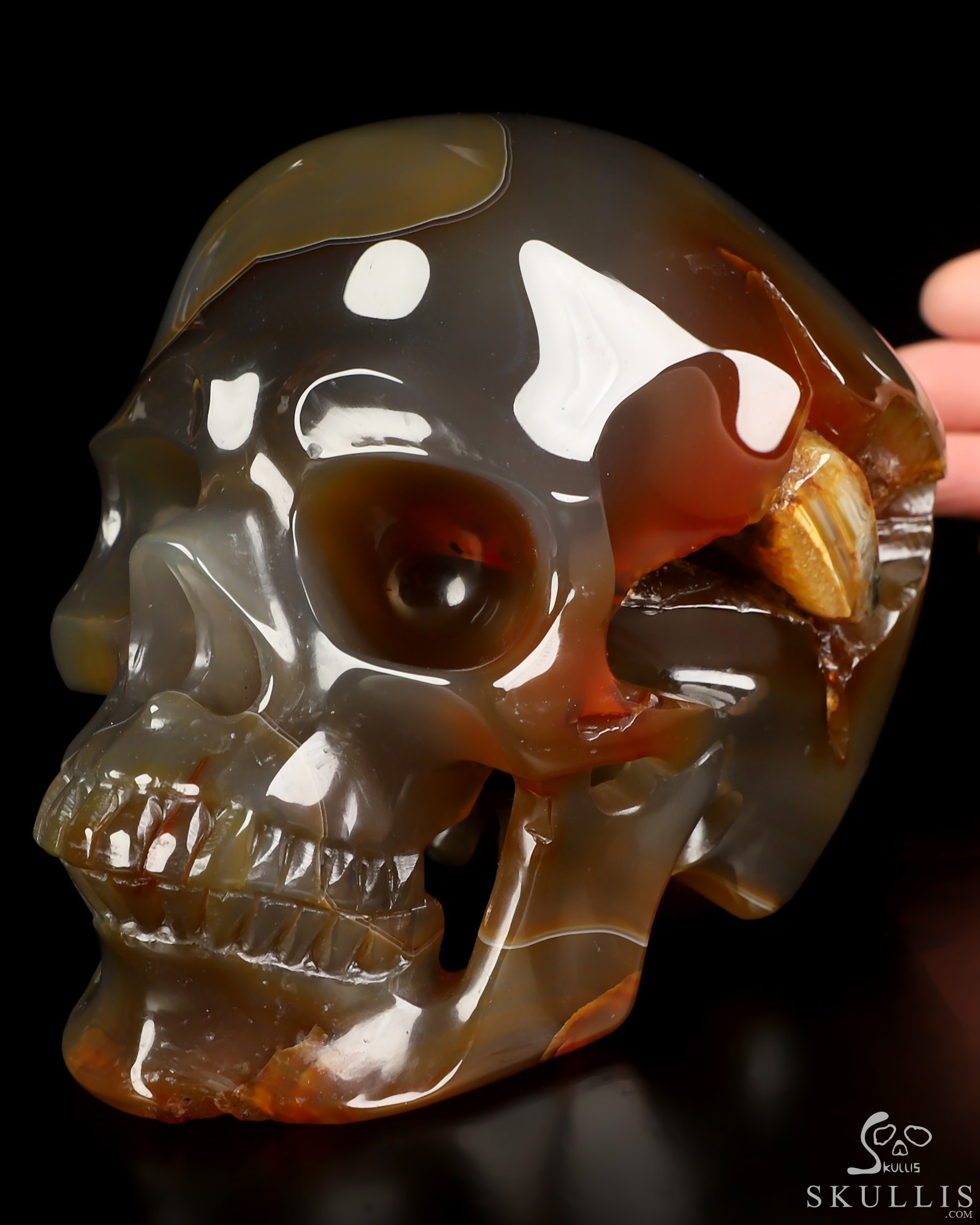 Lifesized 6.0" Premium Brazilian Agate Hand Carved Crystal Skull, Super Realistic, Crystal Healing Lifesized 6.0" Premium Brazilian Agate Hand Carved Crystal Skull, Super Realistic, Crystal Healing