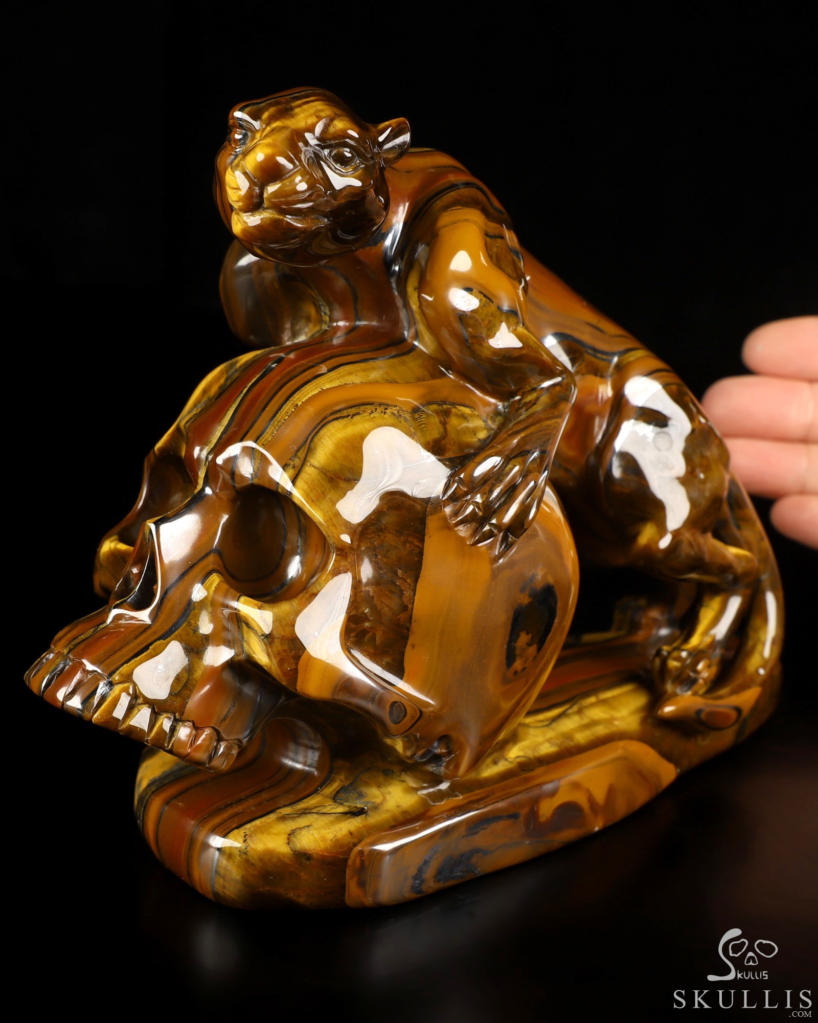 7.9" Tiger Iron Eye Hand Carved Crystal Skull and Leopard Fine Art Sculpture, Crystal Healing 7.9" Tiger Iron Eye Hand Carved Crystal Skull and Leopard Fine Art Sculpture, Crystal Healing