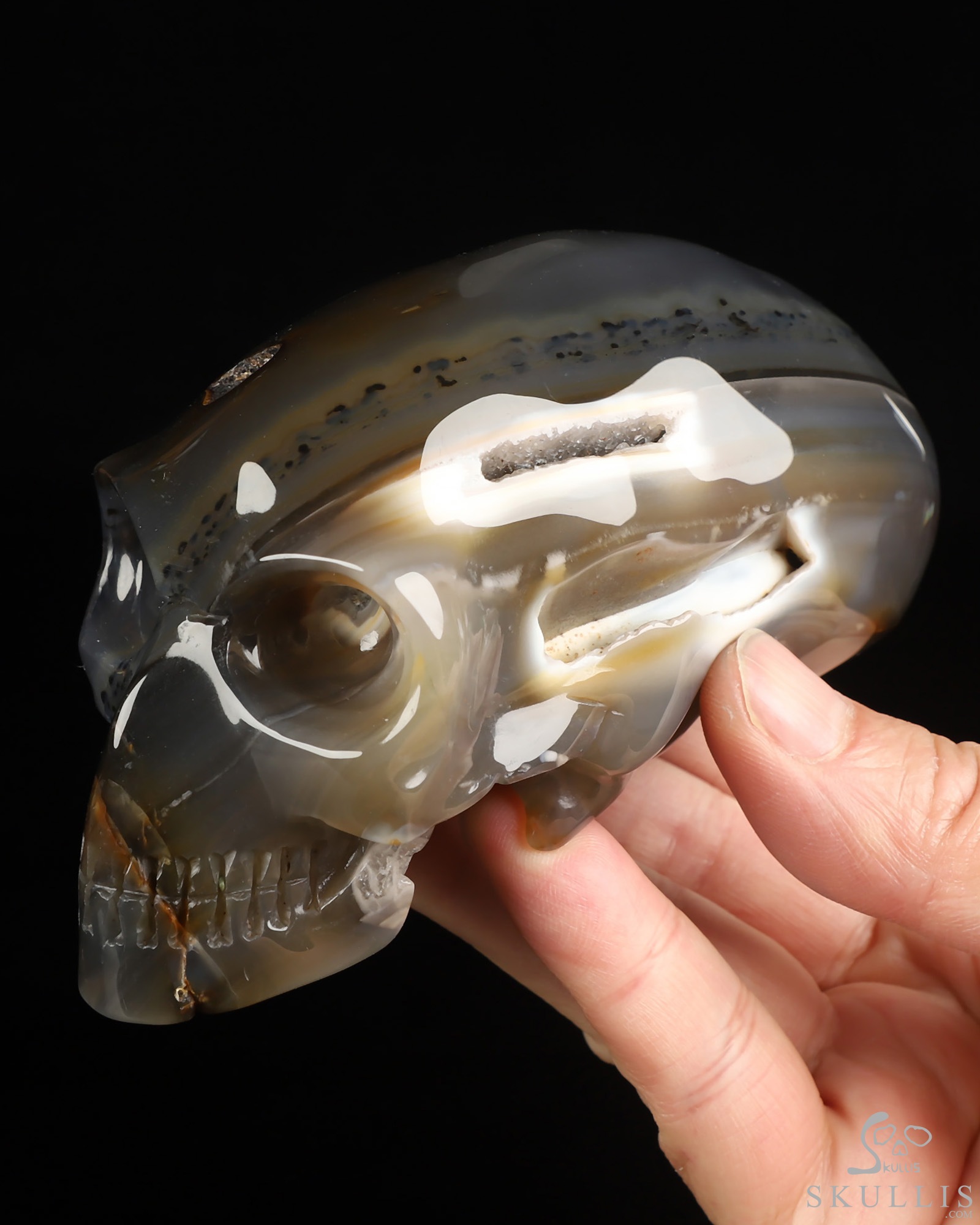 4.8" Premium Brazilian Agate Hand Carved Crystal Elongated Mayan Alien Skull Sculpture, Crystal Healing 4.8" Premium Brazilian Agate Hand Carved Crystal Elongated Mayan Alien Skull Sculpture, Crystal Healing