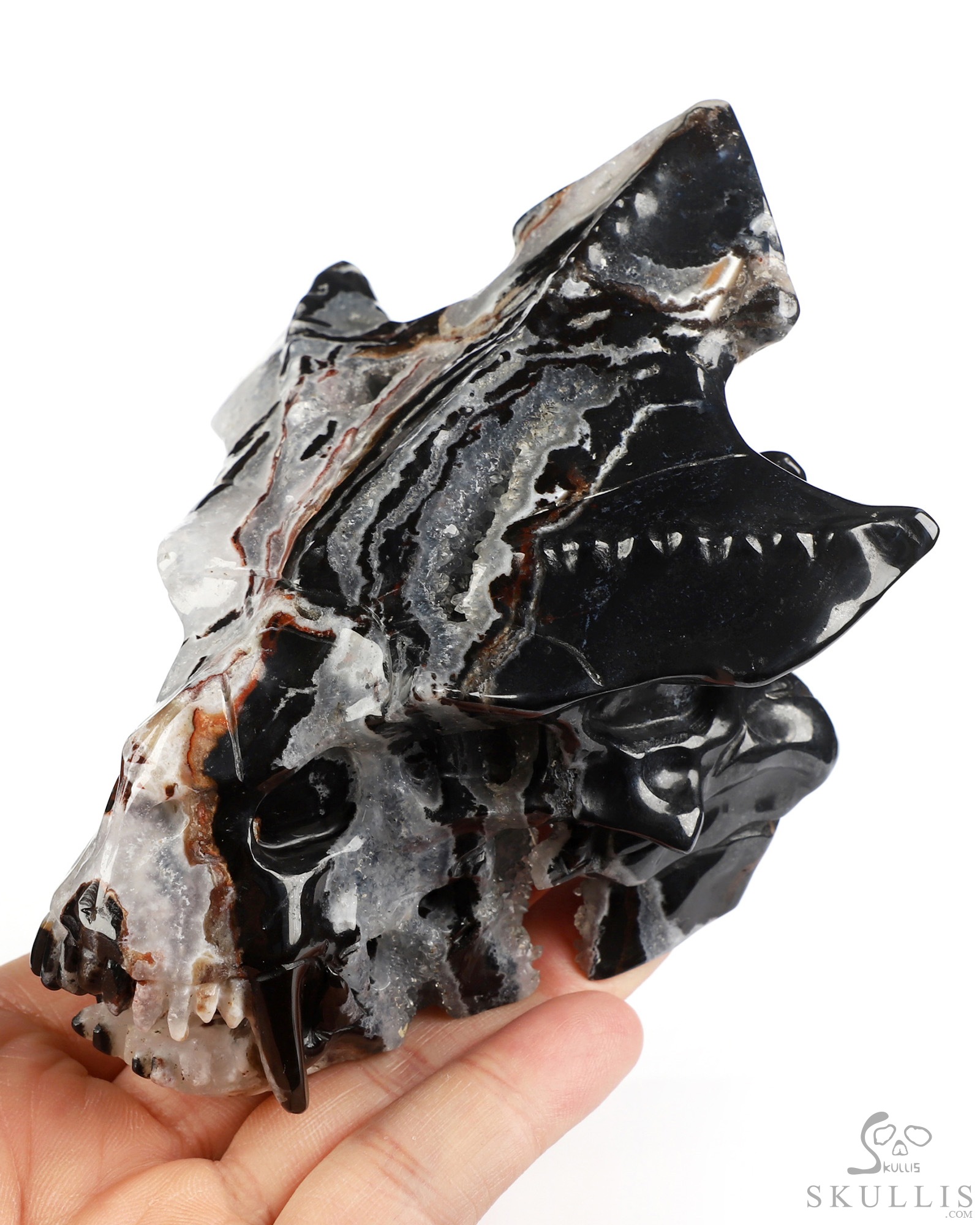 4.5" Black Zebra Agate Hand Carved Pterodactyl Crystal Skull Fine Art Sculpture, Crystal Healing 4.5" Black Zebra Agate Hand Carved Pterodactyl Crystal Skull Fine Art Sculpture, Crystal Healing