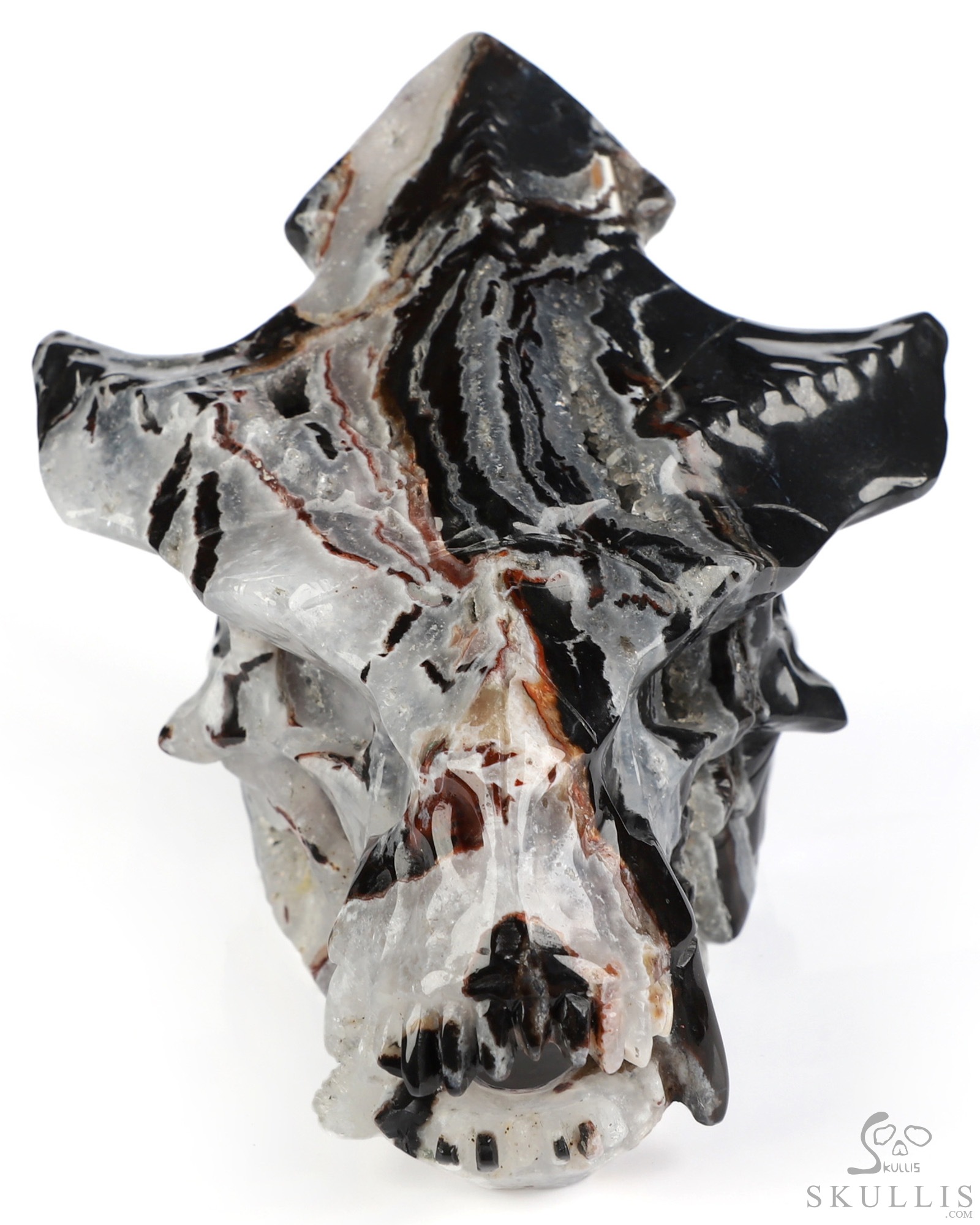 4.5" Black Zebra Agate Hand Carved Pterodactyl Crystal Skull Fine Art Sculpture, Crystal Healing 4.5" Black Zebra Agate Hand Carved Pterodactyl Crystal Skull Fine Art Sculpture, Crystal Healing