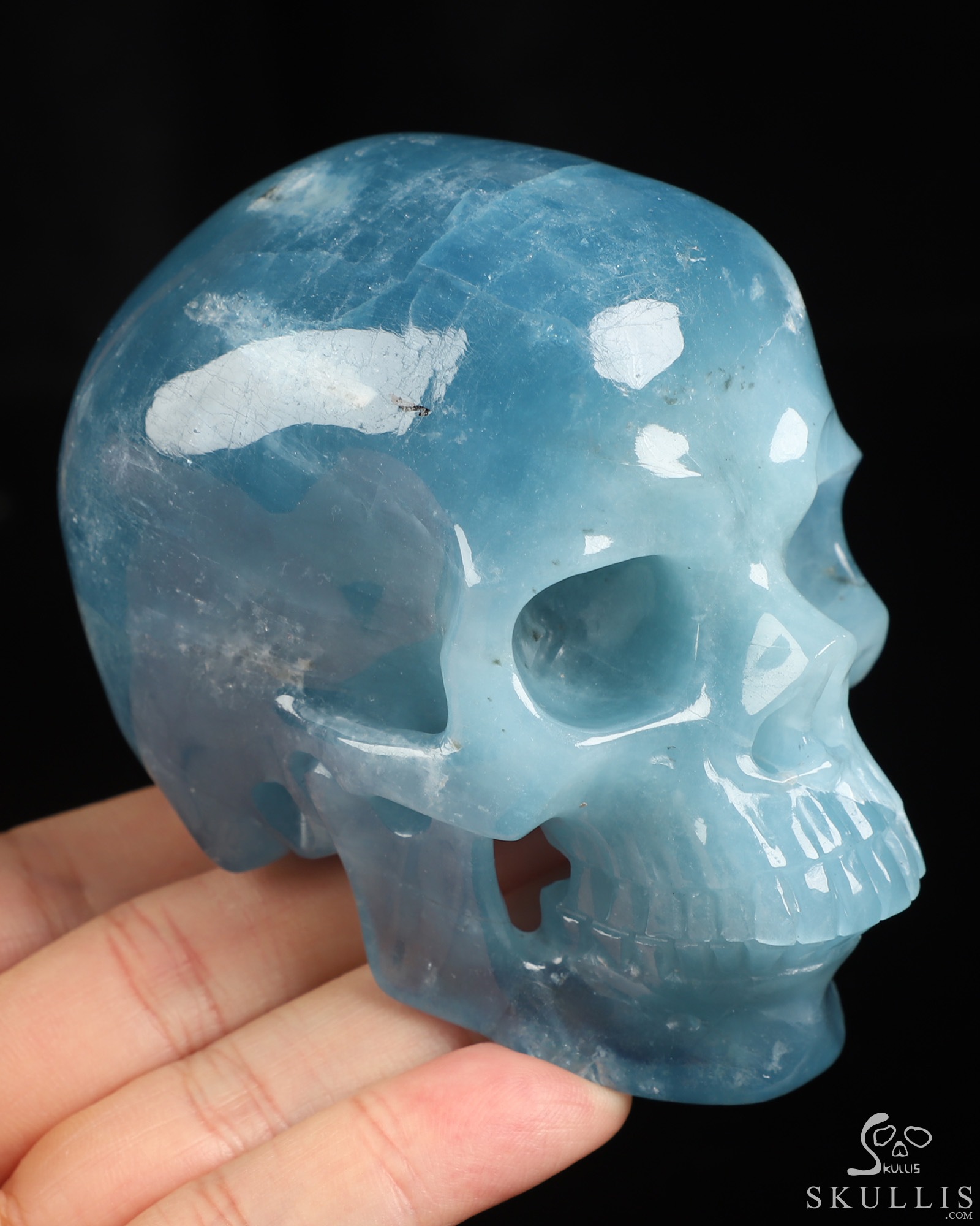 Oct 27, 2026 ACSAD (A Crystal Skull a Day) - The Shape of Silence - Gemstone 3.7" Aquamarine Hand Carved Crystal Skull, Super Realistic, Crystal Healing Oct 27, 2026 ACSAD (A Crystal Skull a Day) - The Shape of Silence - Gemstone 3.7" Aquamarine Hand Carved Crystal Skull, Super Realistic, Crystal Healing