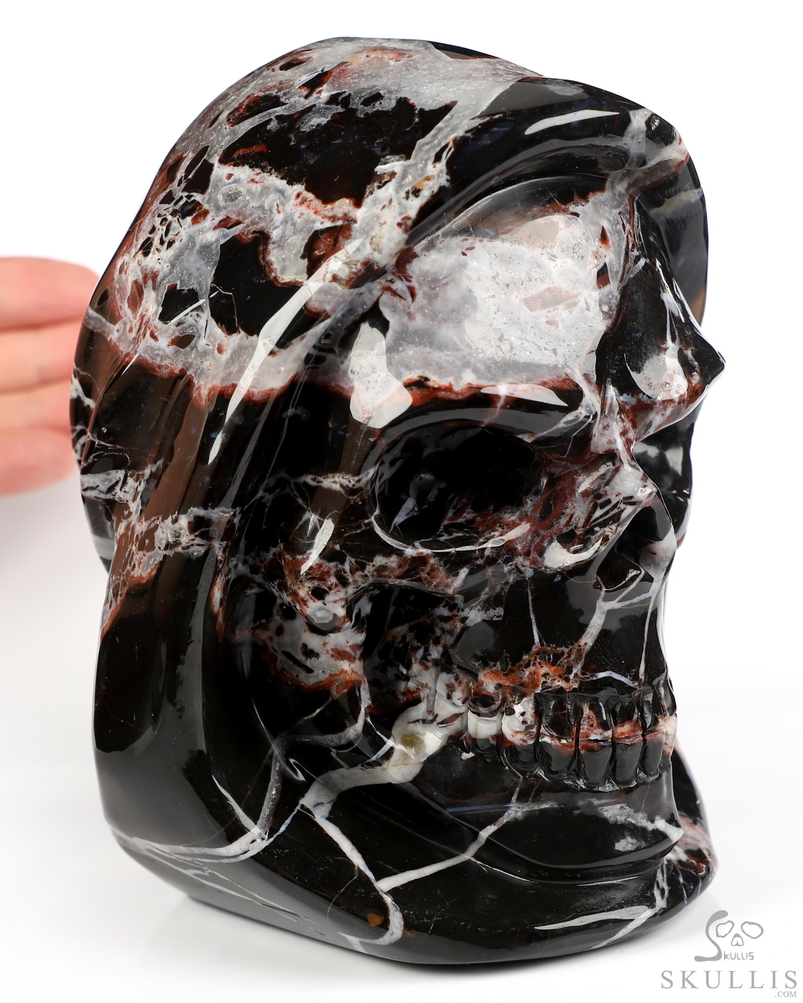 5.5" Black Zebra Agate Hand Carved Death Crystal Skull Sculpture, Crystal Healing 5.5" Black Zebra Agate Hand Carved Death Crystal Skull Sculpture, Crystal Healing