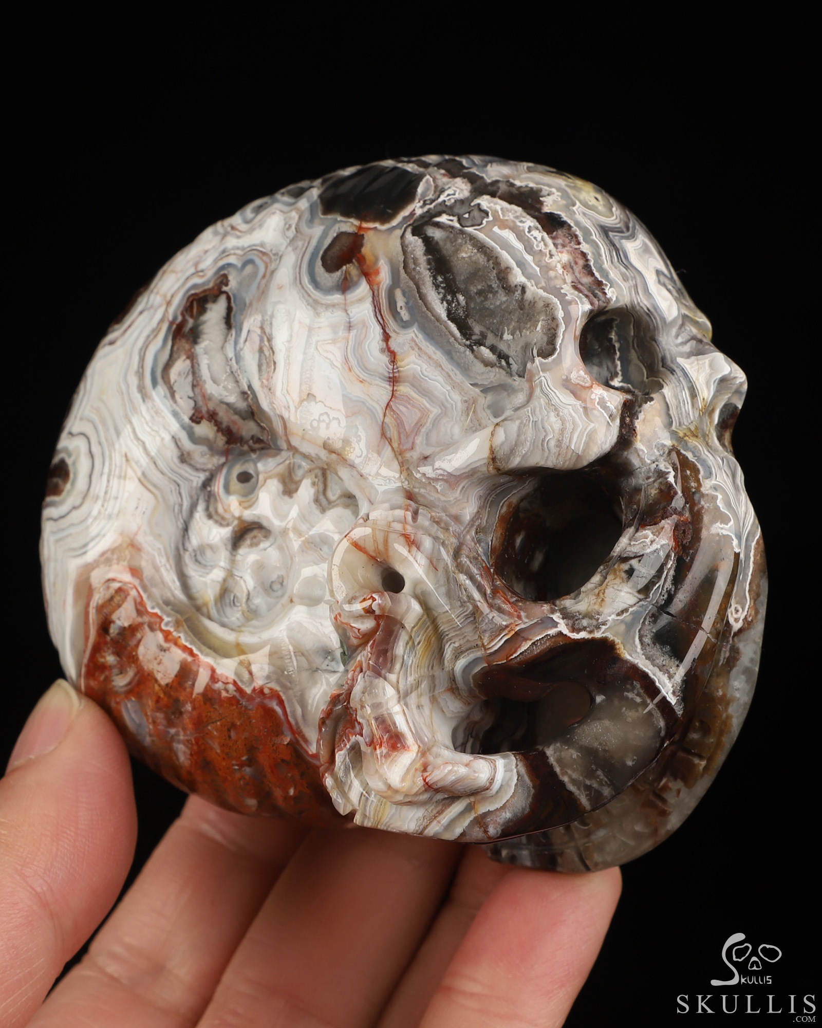 Gemstone 3.5" Red Crazy Lace Agate Hand Carved Nautiloid Cthulhu Crystal Skull Sculpture, Crystal Healing Gemstone 3.5" Red Crazy Lace Agate Hand Carved Nautiloid Cthulhu Crystal Skull Sculpture, Crystal Healing