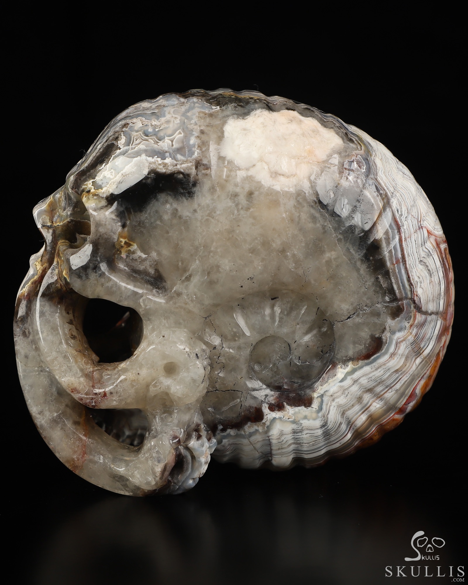 Gemstone 3.5" Red Crazy Lace Agate Hand Carved Nautiloid Cthulhu Crystal Skull Sculpture, Crystal Healing Gemstone 3.5" Red Crazy Lace Agate Hand Carved Nautiloid Cthulhu Crystal Skull Sculpture, Crystal Healing