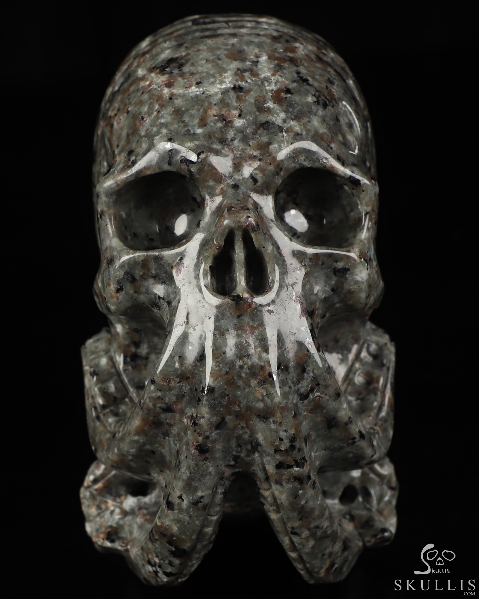 5.6" Yooperlites Hand Carved Nautiloid Cthulhu Crystal Skull Sculpture, Crystal Healing 5.6" Yooperlites Hand Carved Nautiloid Cthulhu Crystal Skull Sculpture, Crystal Healing