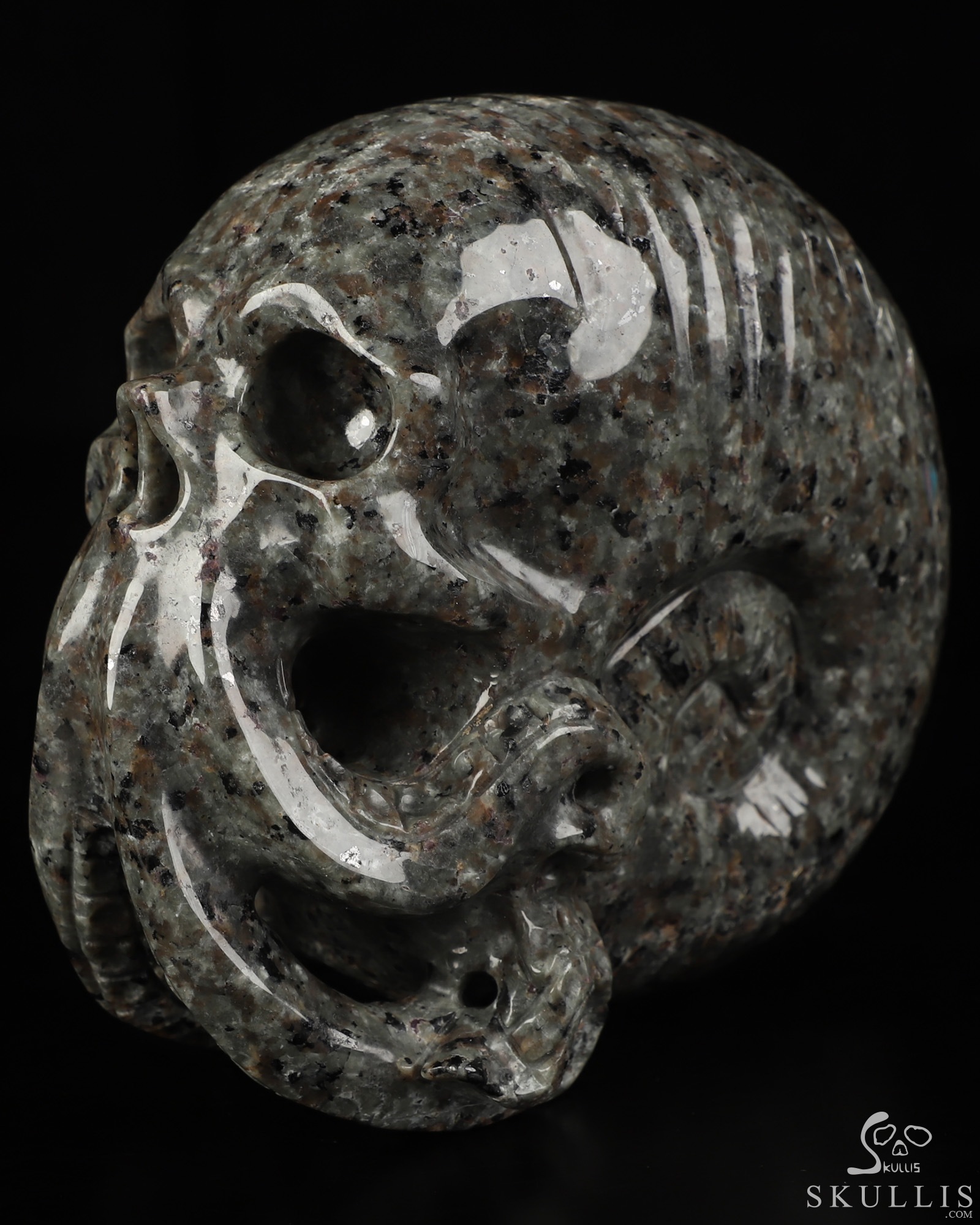 5.6" Yooperlites Hand Carved Nautiloid Cthulhu Crystal Skull Sculpture, Crystal Healing 5.6" Yooperlites Hand Carved Nautiloid Cthulhu Crystal Skull Sculpture, Crystal Healing